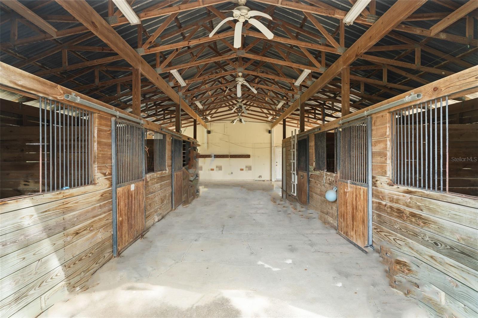 17726 DANGLER RD, WINTER GARDEN, FL, 34787