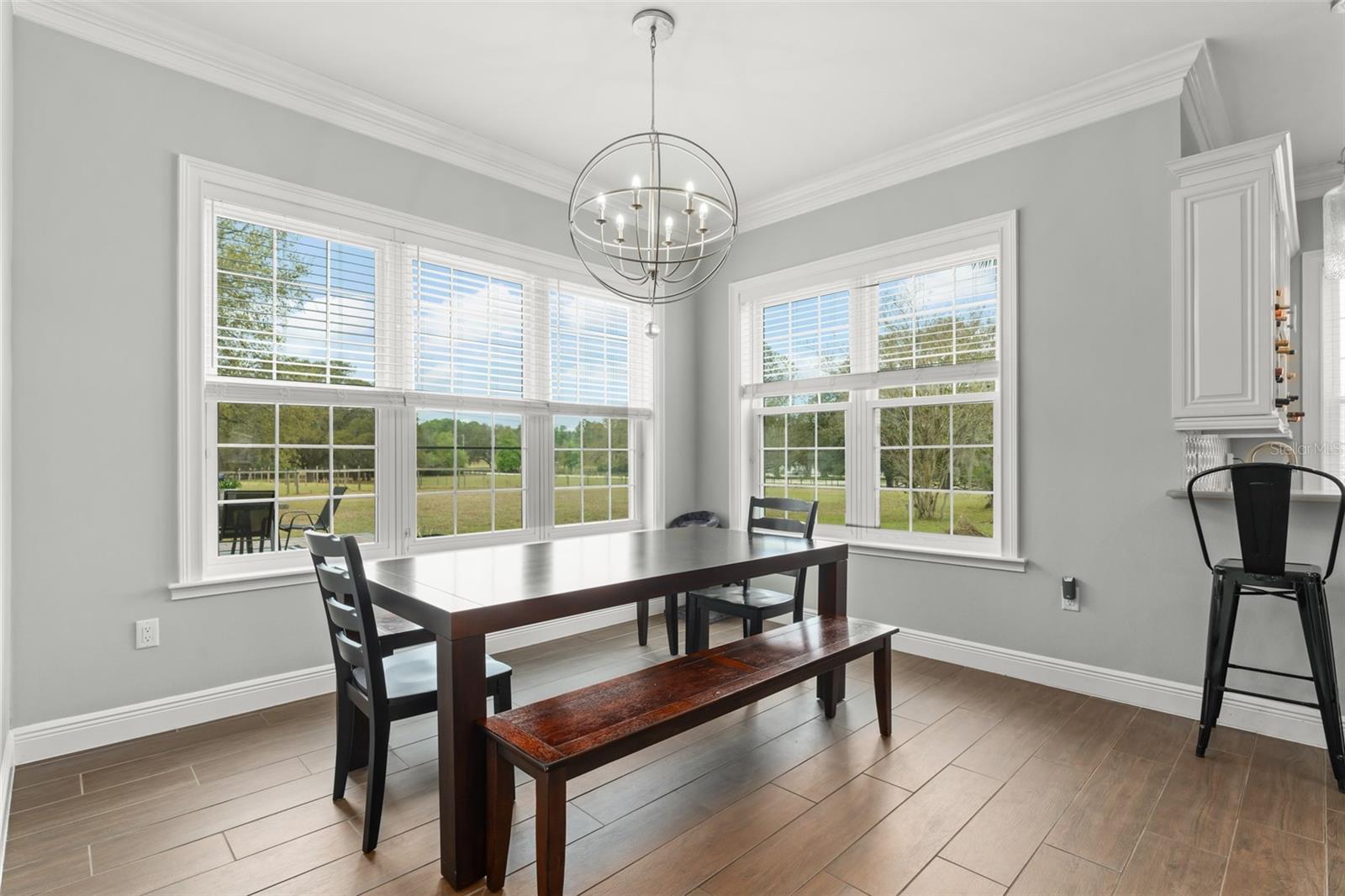 17726 DANGLER RD, WINTER GARDEN, FL, 34787