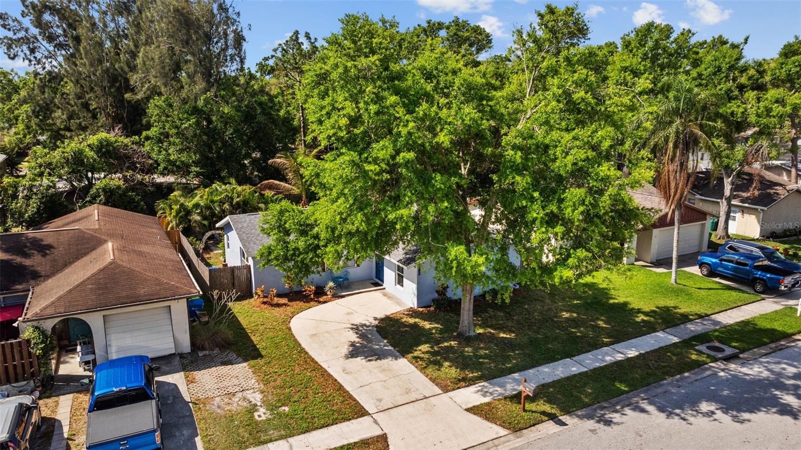 2882 CATHY LN, CLEARWATER, FL, 33760