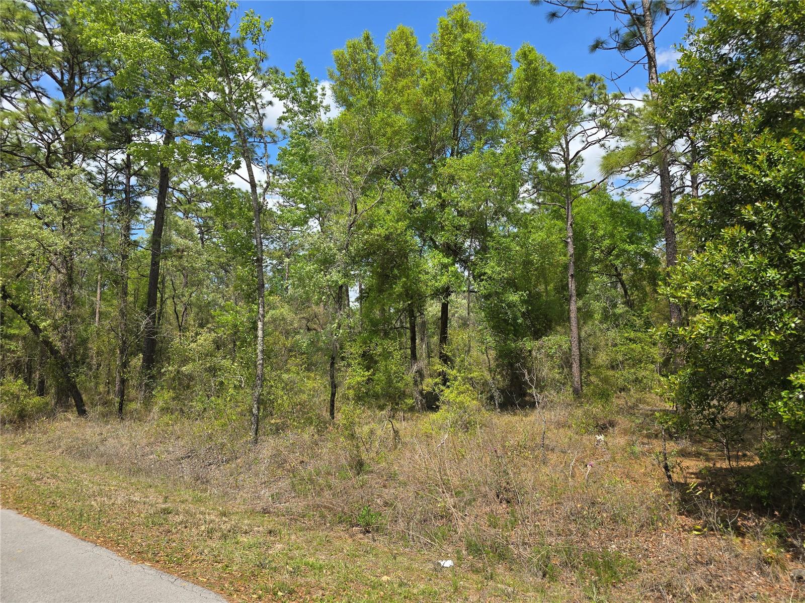 24345 NW WATER OAK AVE, DUNNELLON, FL, 34431