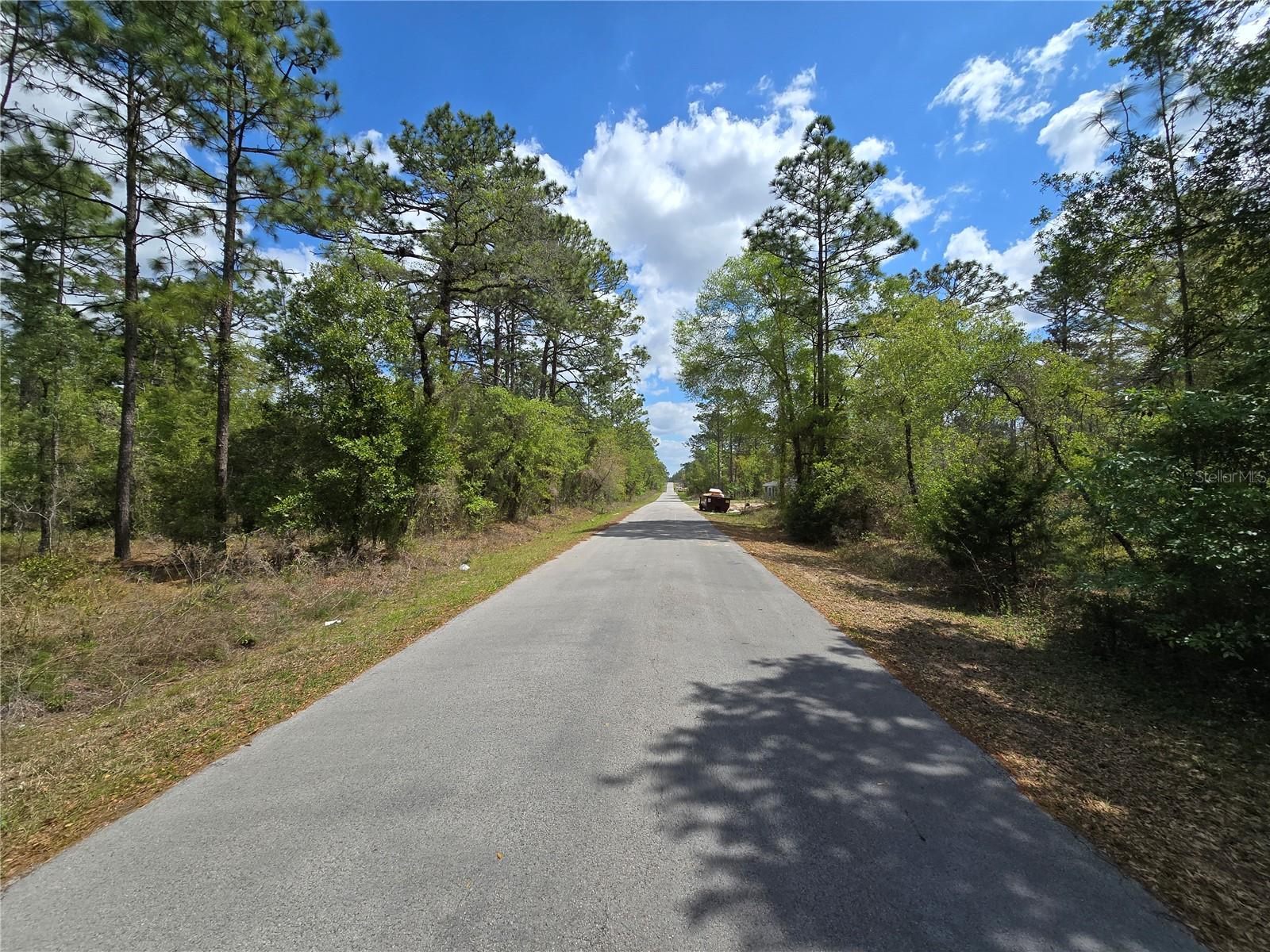 24345 NW WATER OAK AVE, DUNNELLON, FL, 34431