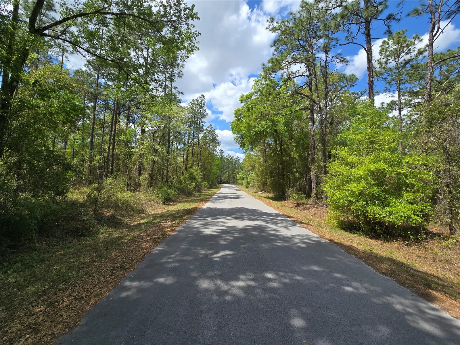 24345 NW WATER OAK AVE, DUNNELLON, FL, 34431