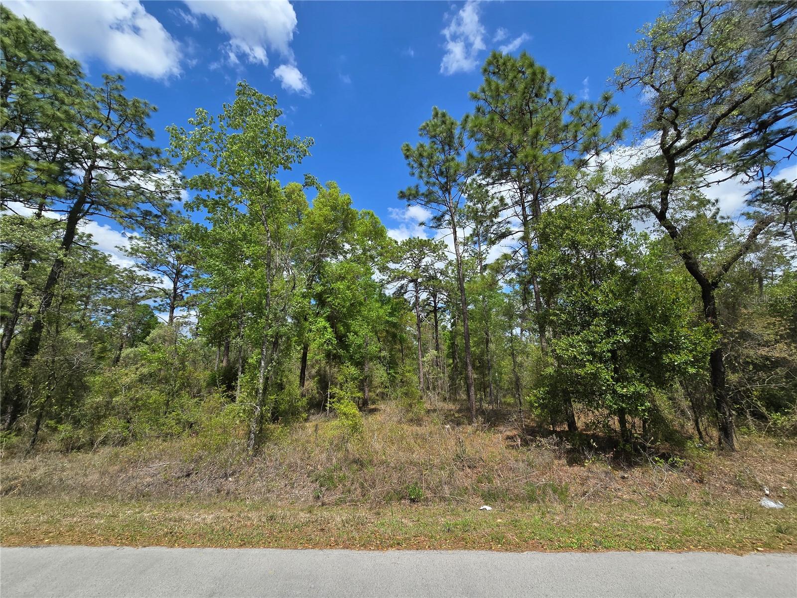 24345 NW WATER OAK AVE, DUNNELLON, FL, 34431