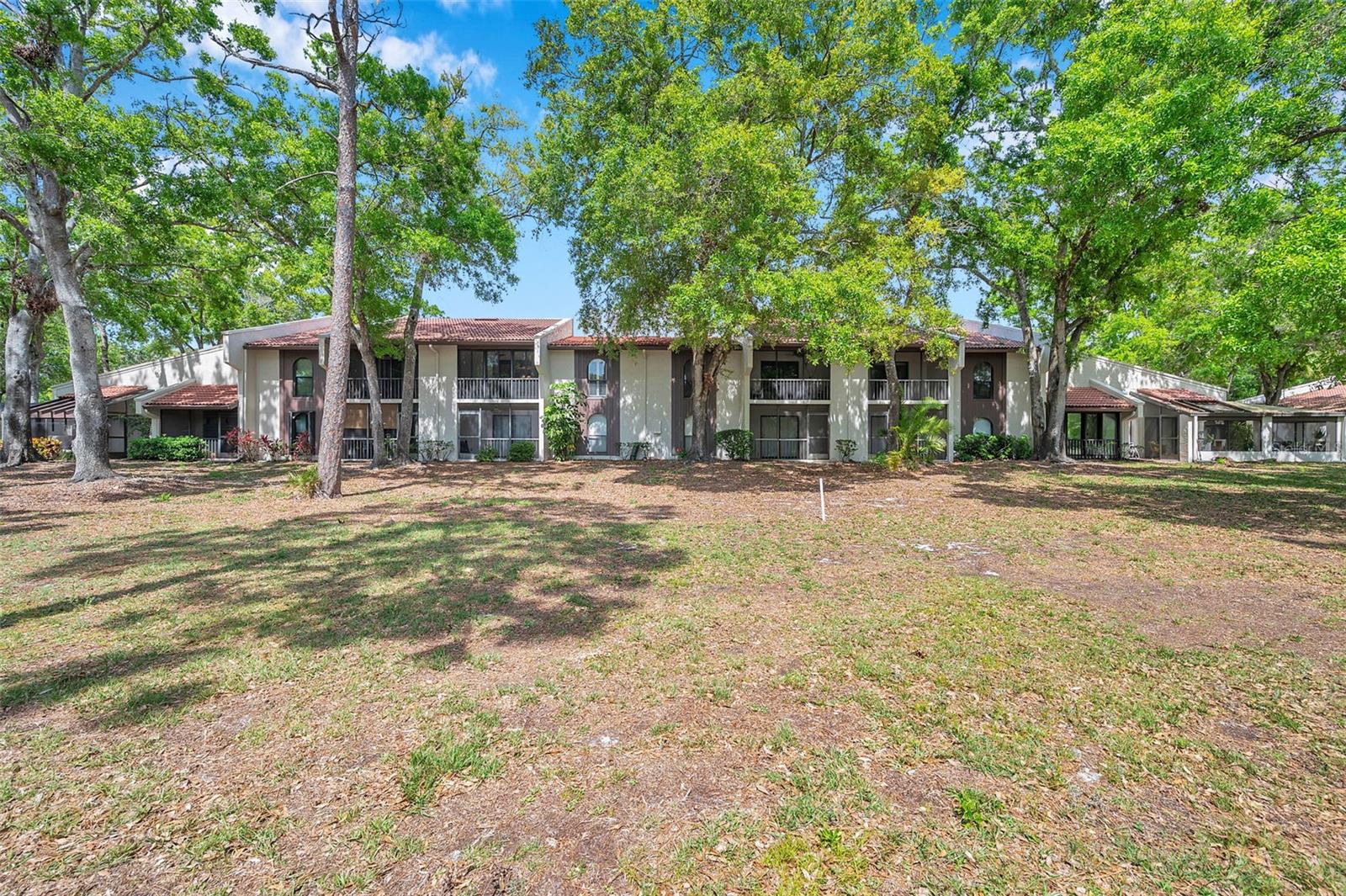 3505 TARPON WOODS BLVD #H408, PALM HARBOR, FL, 34685