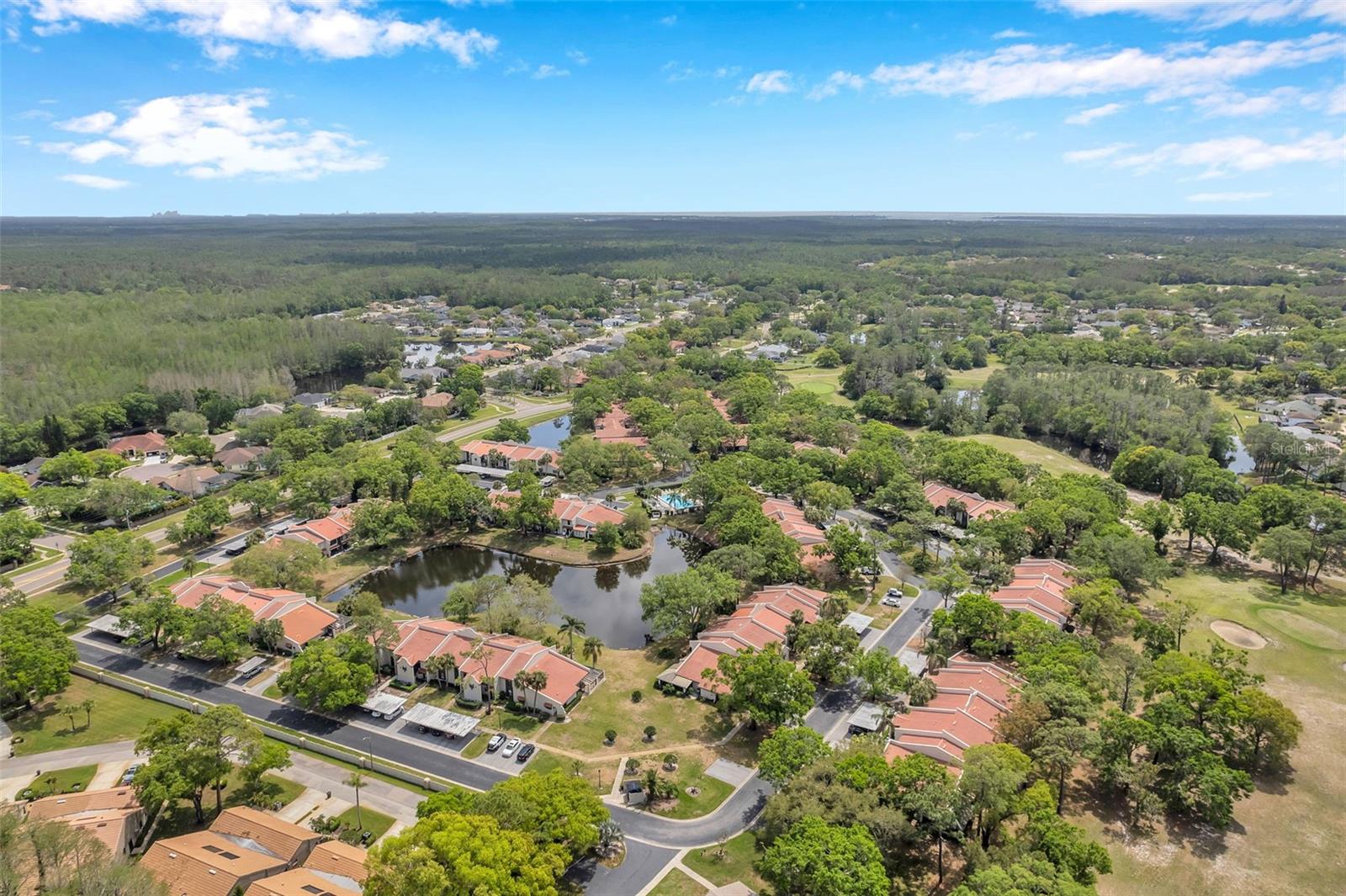 3505 TARPON WOODS BLVD #H408, PALM HARBOR, FL, 34685