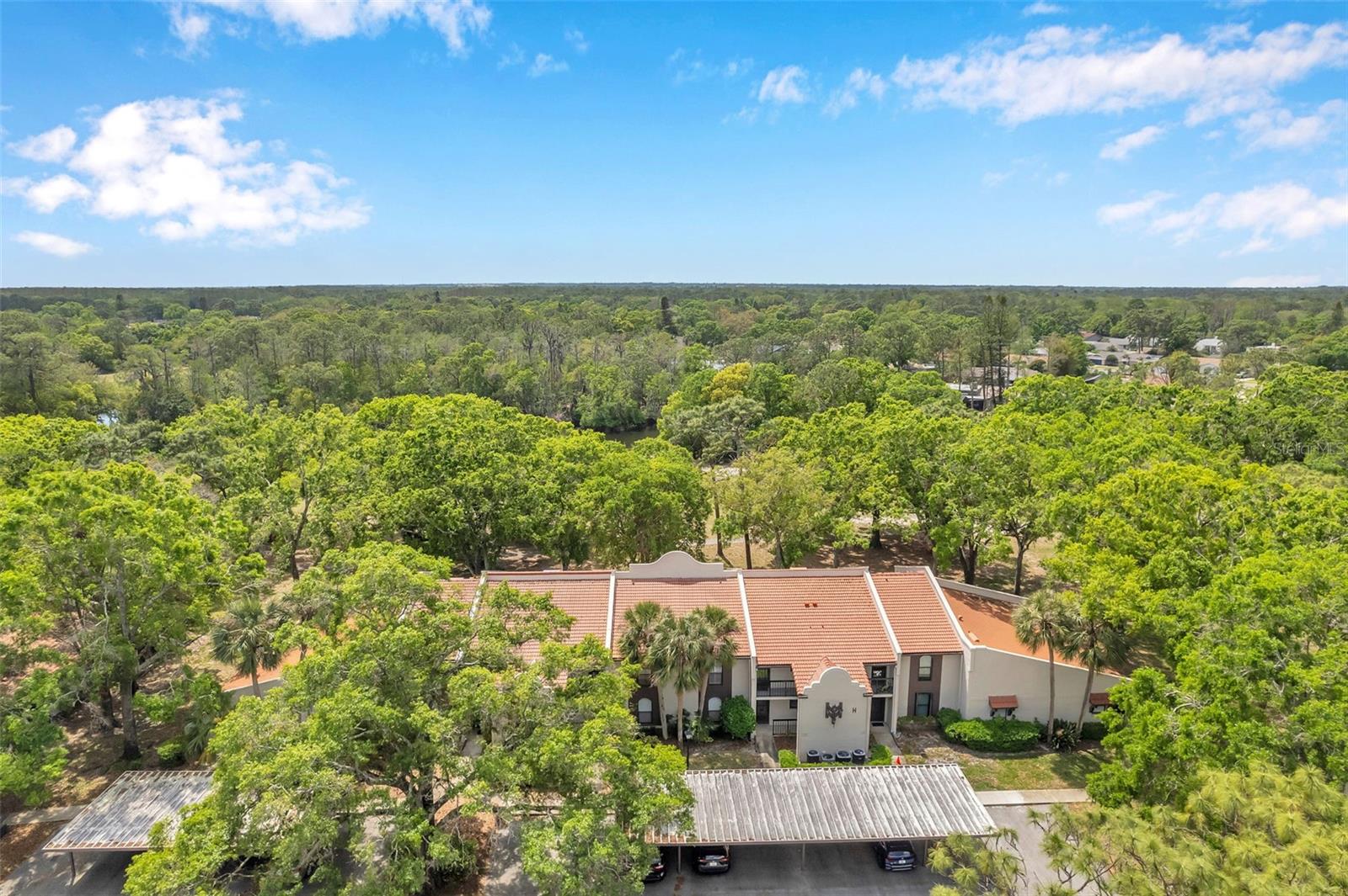 3505 TARPON WOODS BLVD #H408, PALM HARBOR, FL, 34685