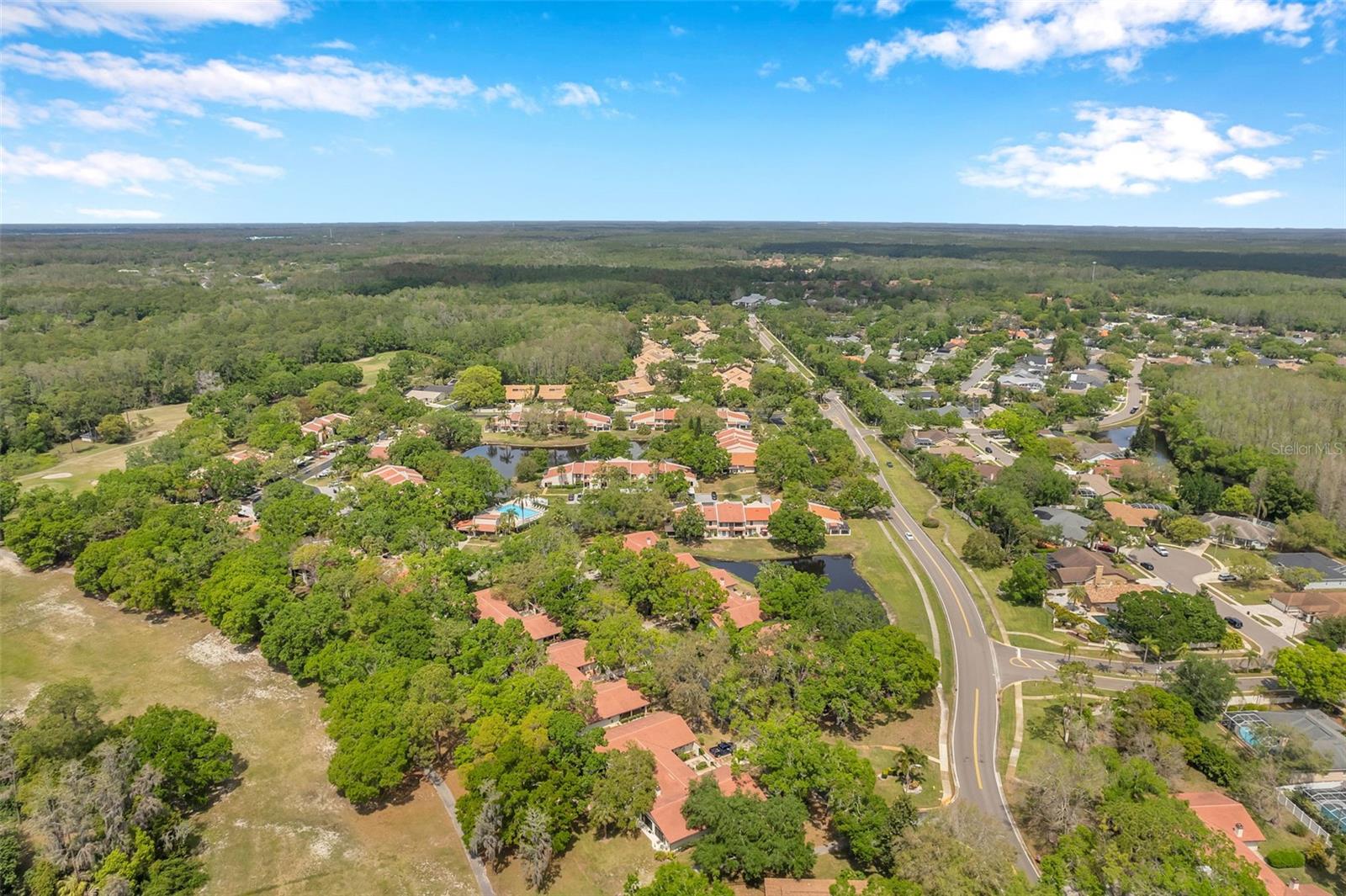 3505 TARPON WOODS BLVD #H408, PALM HARBOR, FL, 34685