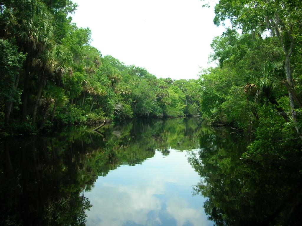 1928 SPRUCEWOOD WAY #58, PORT ORANGE, FL, 32128