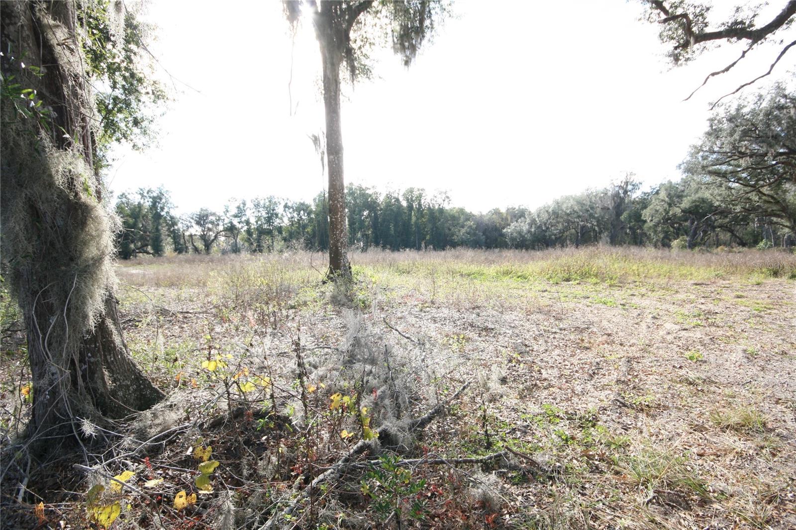 US HWY 301 TBD, CITRA, FL, 32113