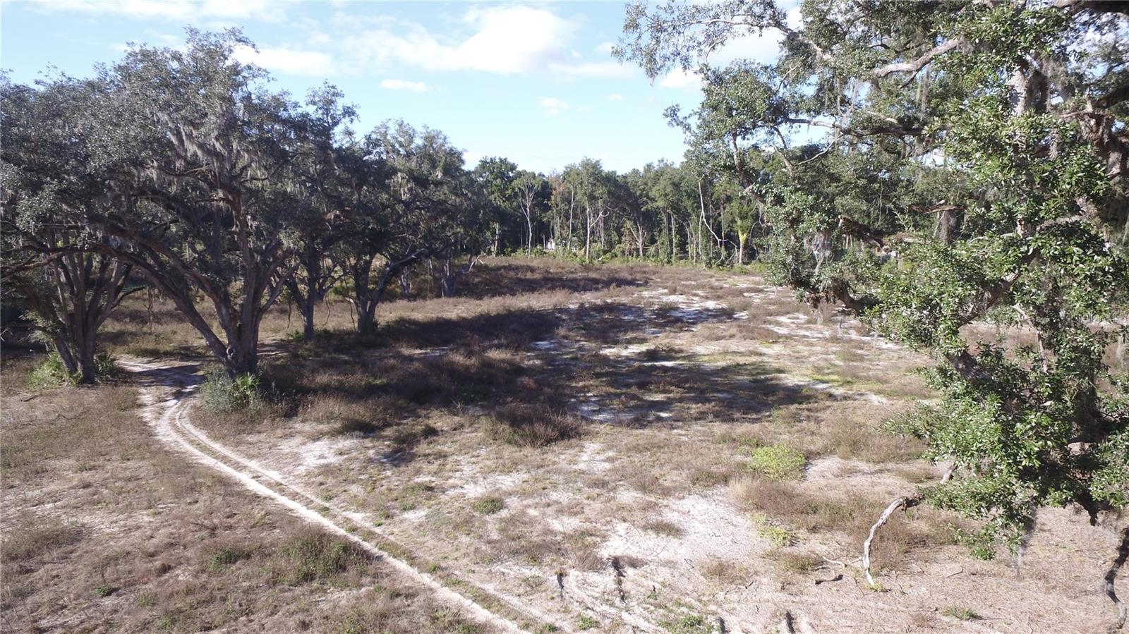 US HWY 301 TBD, CITRA, FL, 32113