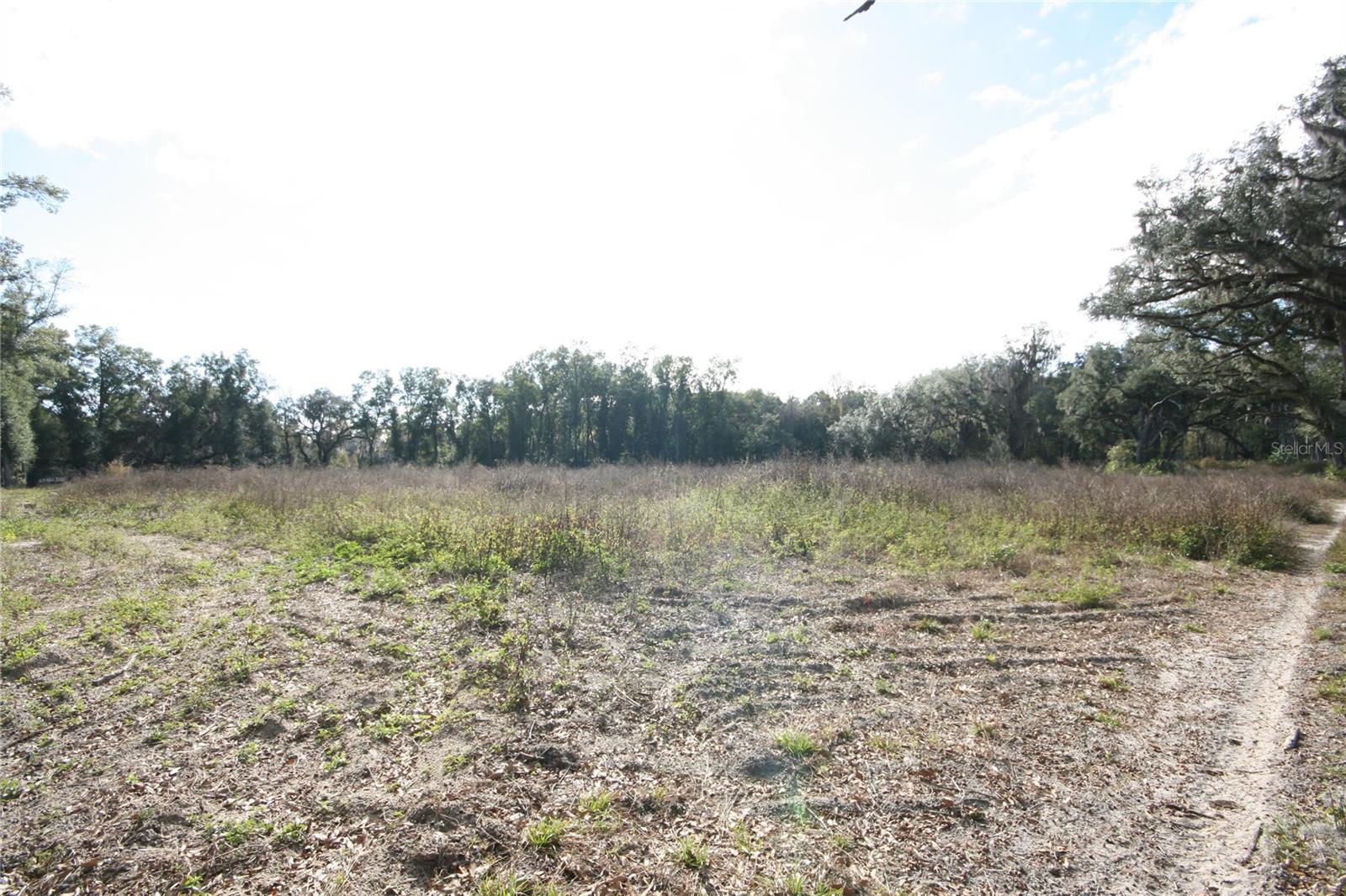 US HWY 301 TBD, CITRA, FL, 32113