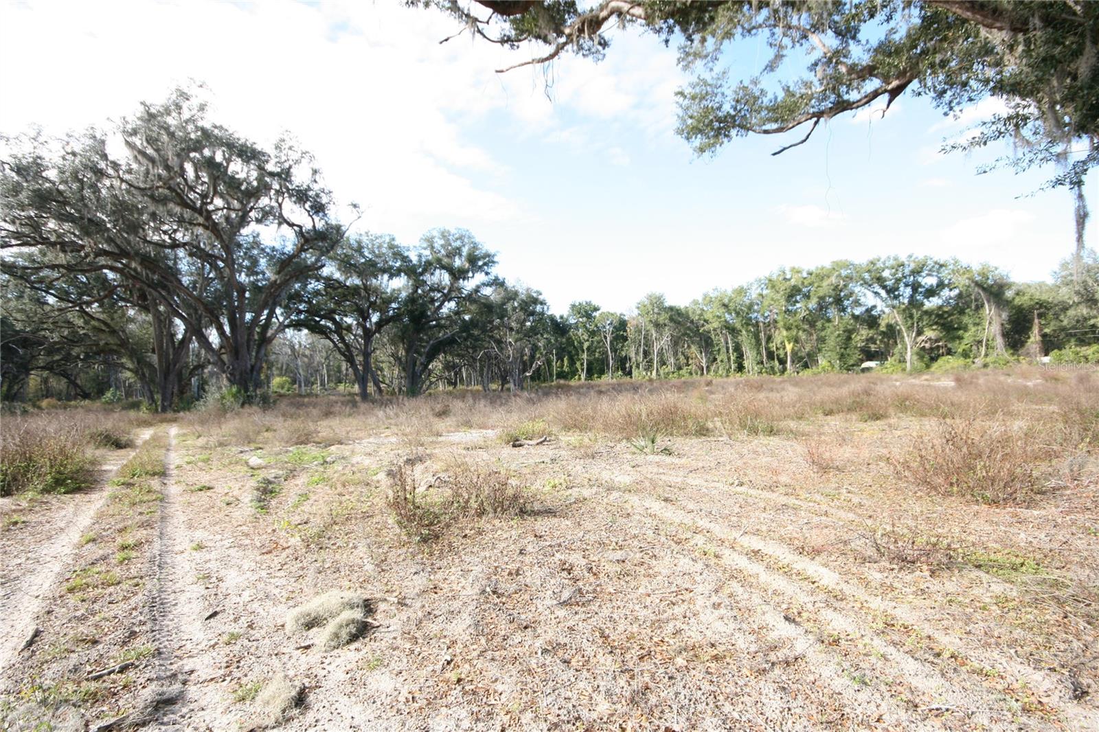US HWY 301 TBD, CITRA, FL, 32113