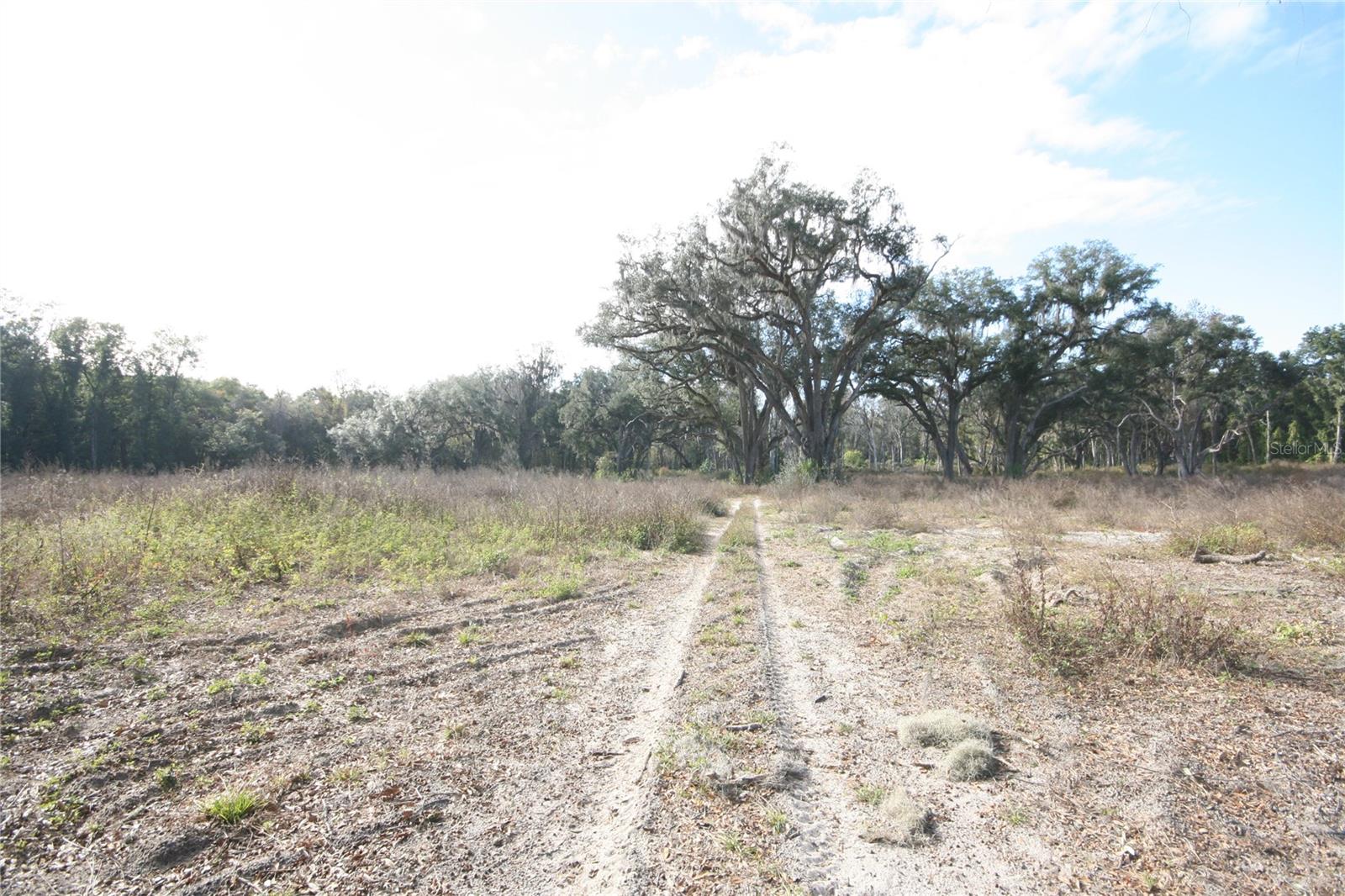 US HWY 301 TBD, CITRA, FL, 32113