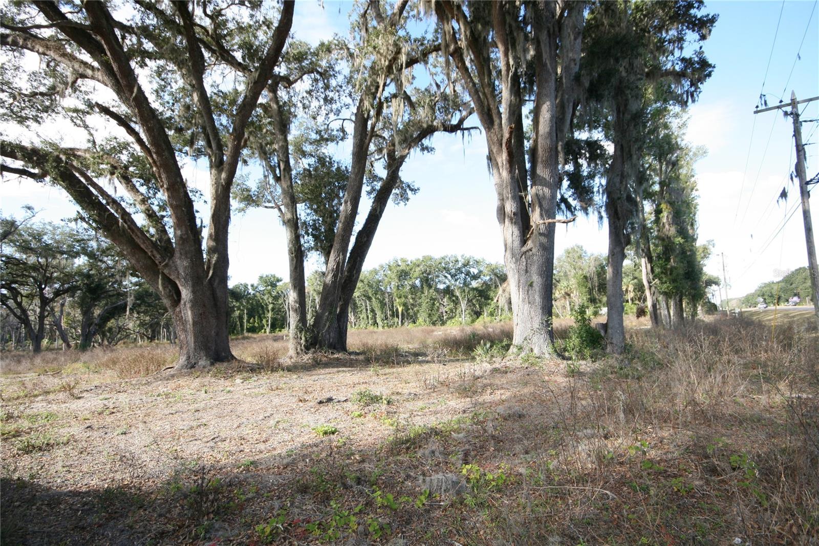 US HWY 301 TBD, CITRA, FL, 32113