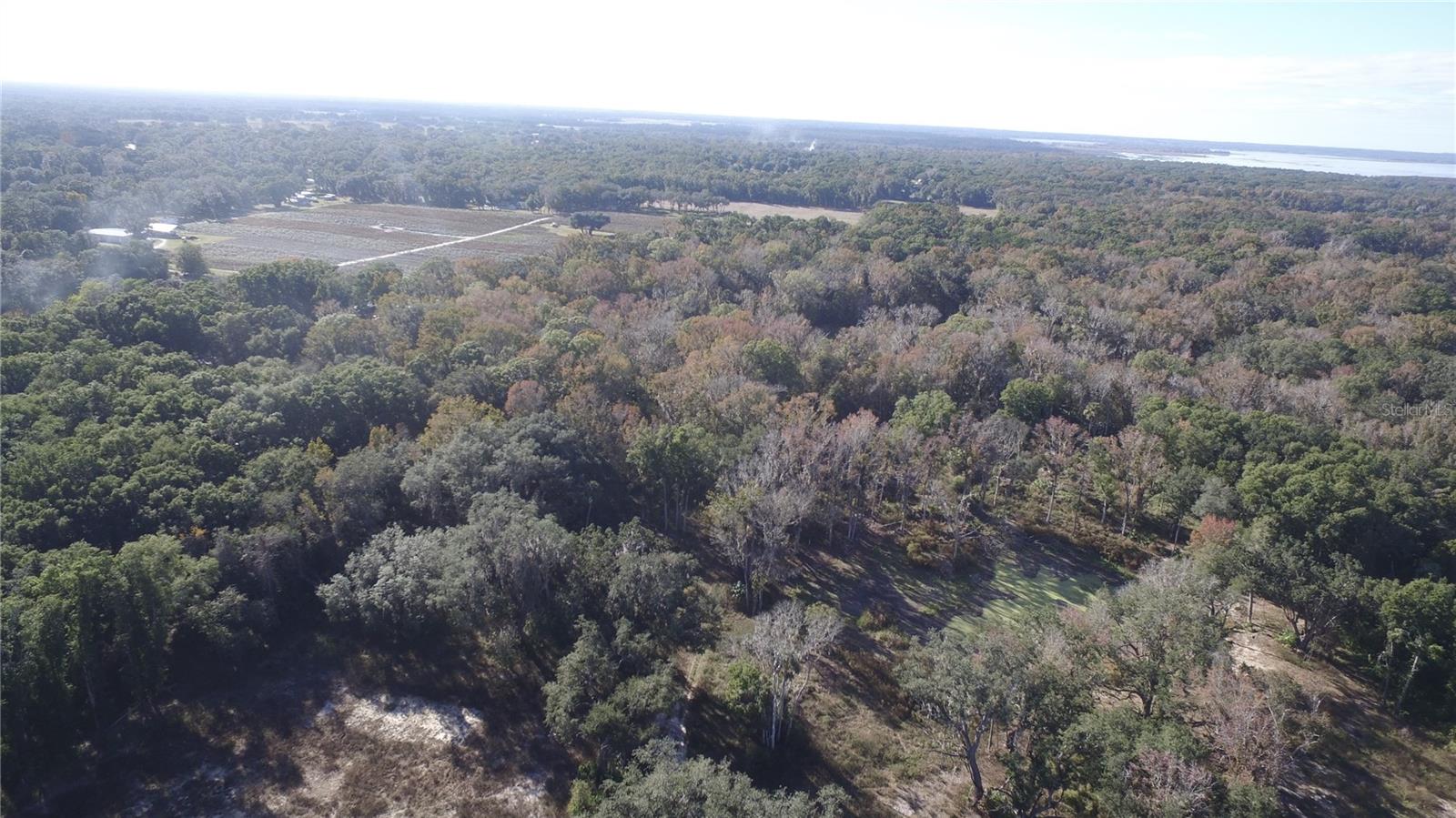 US HWY 301 TBD, CITRA, FL, 32113