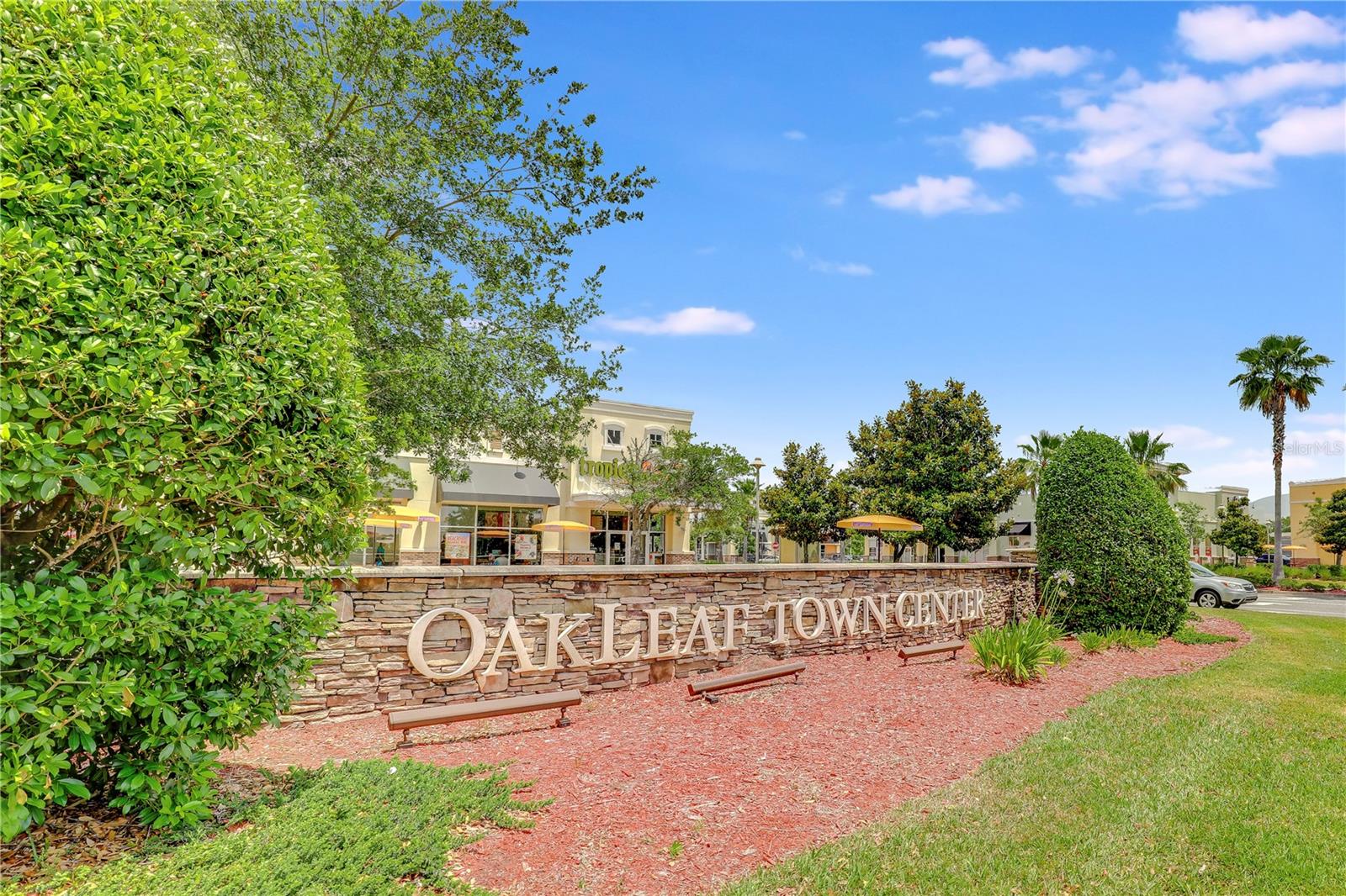4484 GRAY HAWK ST, ORANGE PARK, FL, 32065