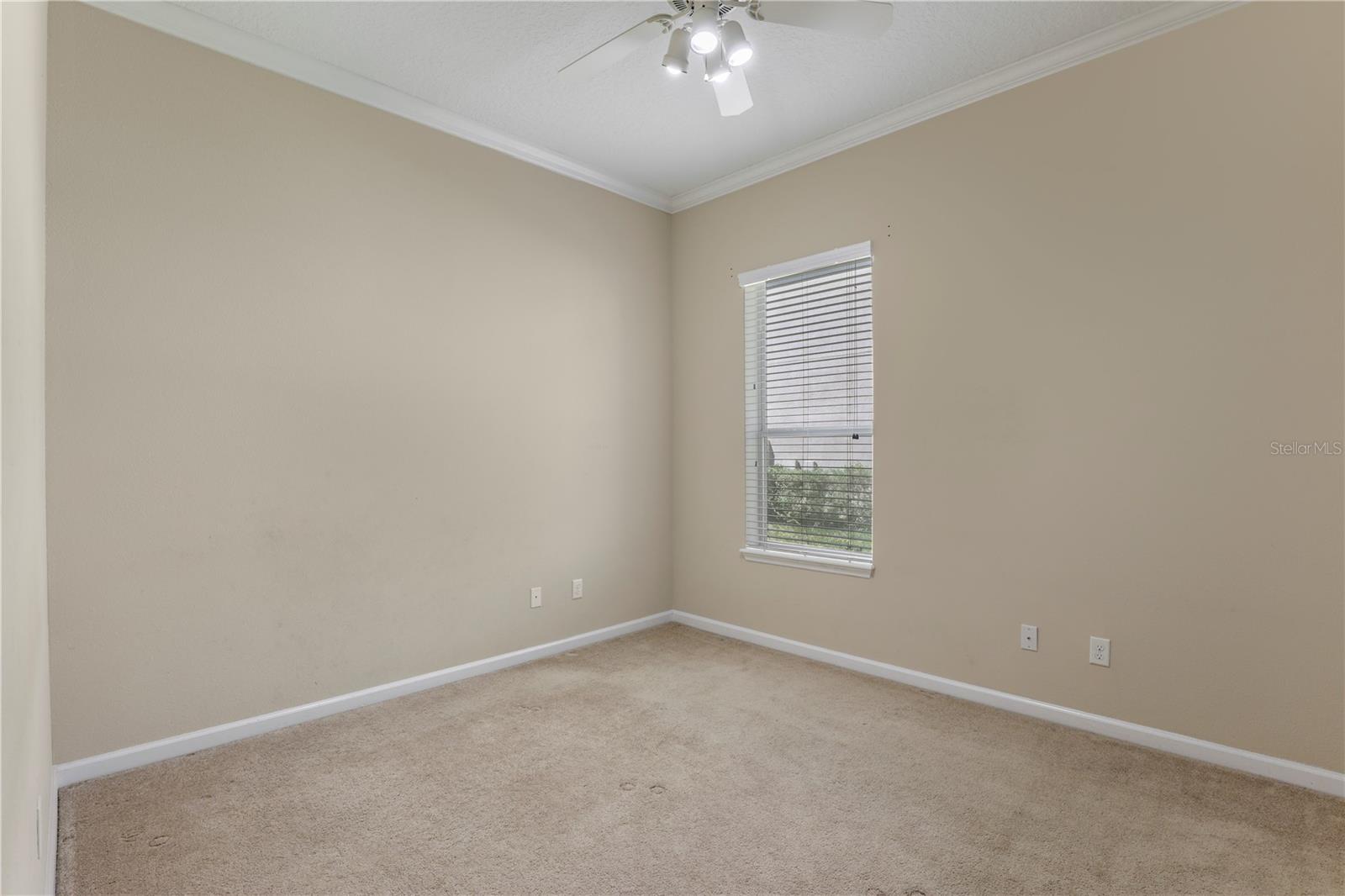 4484 GRAY HAWK ST, ORANGE PARK, FL, 32065