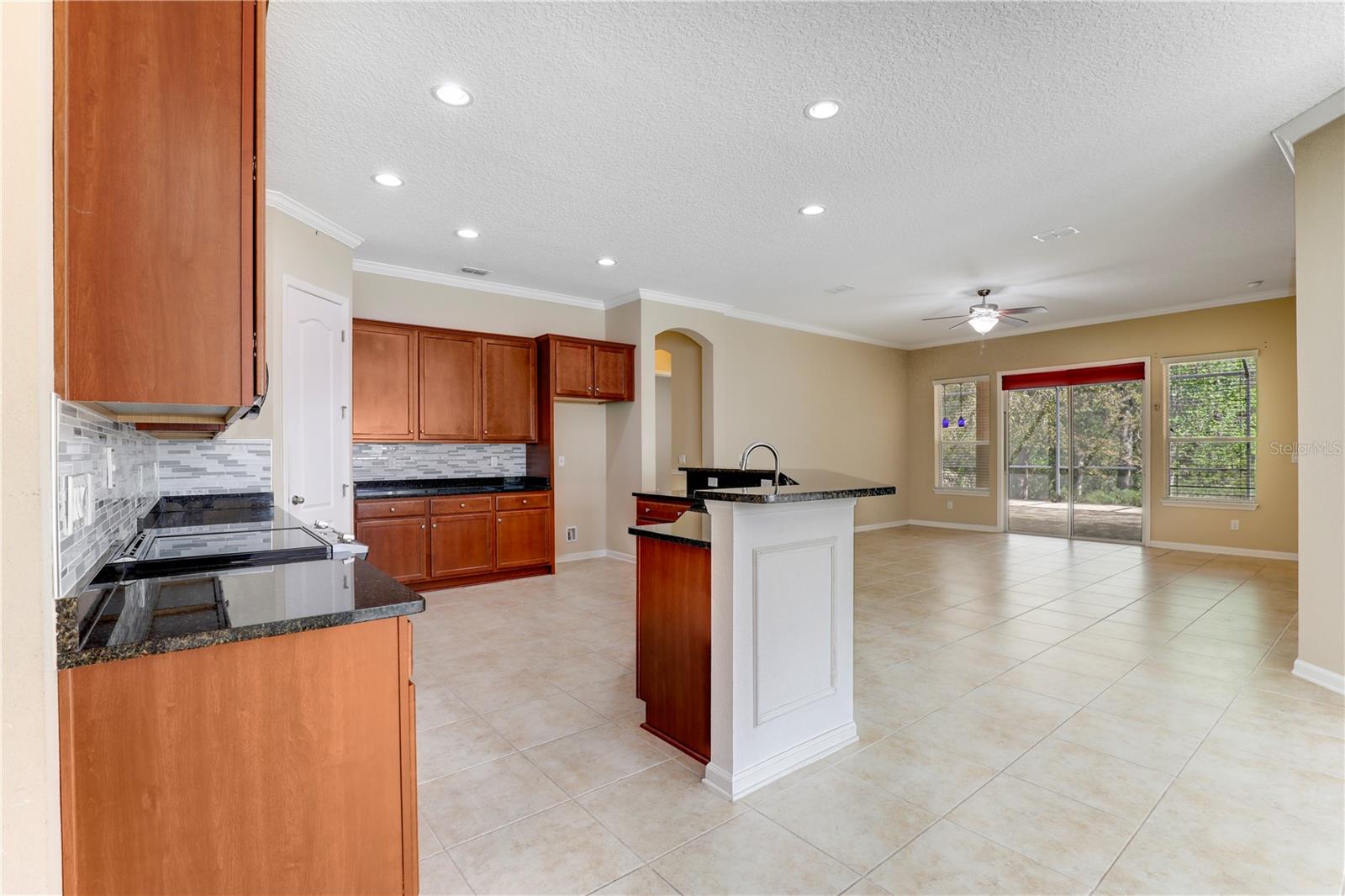 4484 GRAY HAWK ST, ORANGE PARK, FL, 32065