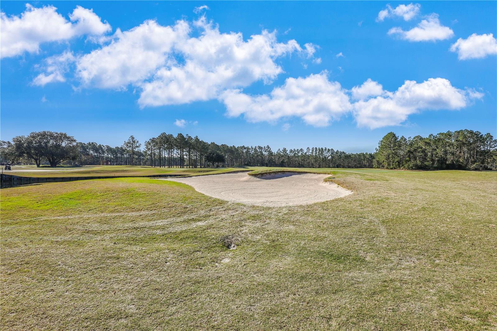 4484 GRAY HAWK ST, ORANGE PARK, FL, 32065