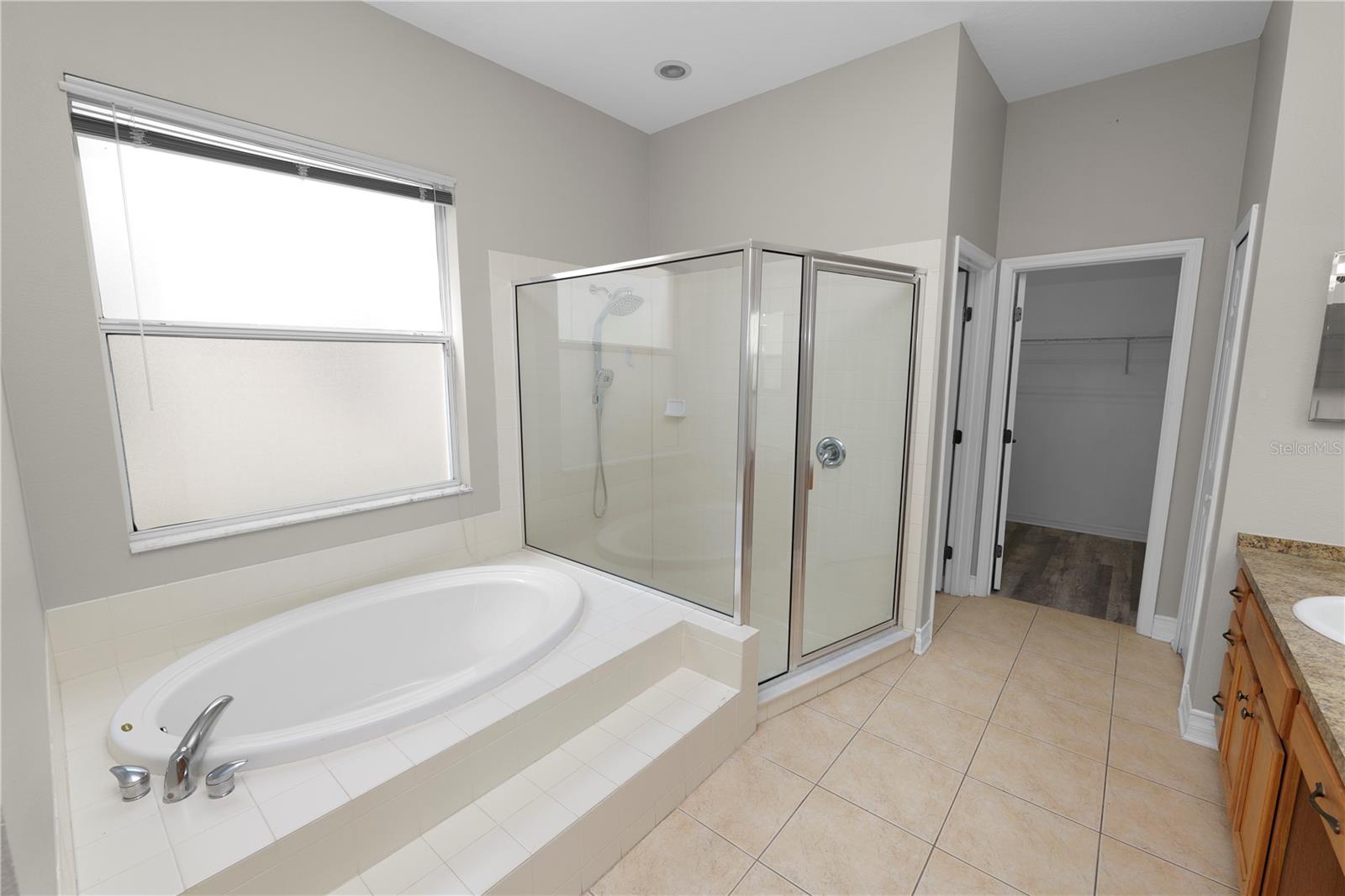 30816 PUMPKIN RIDGE DR, WESLEY CHAPEL, FL, 33543