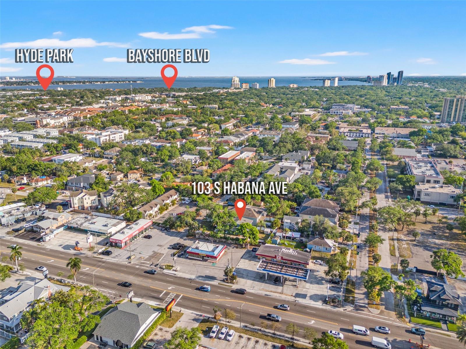 103 S HABANA AVE, TAMPA, FL, 33609