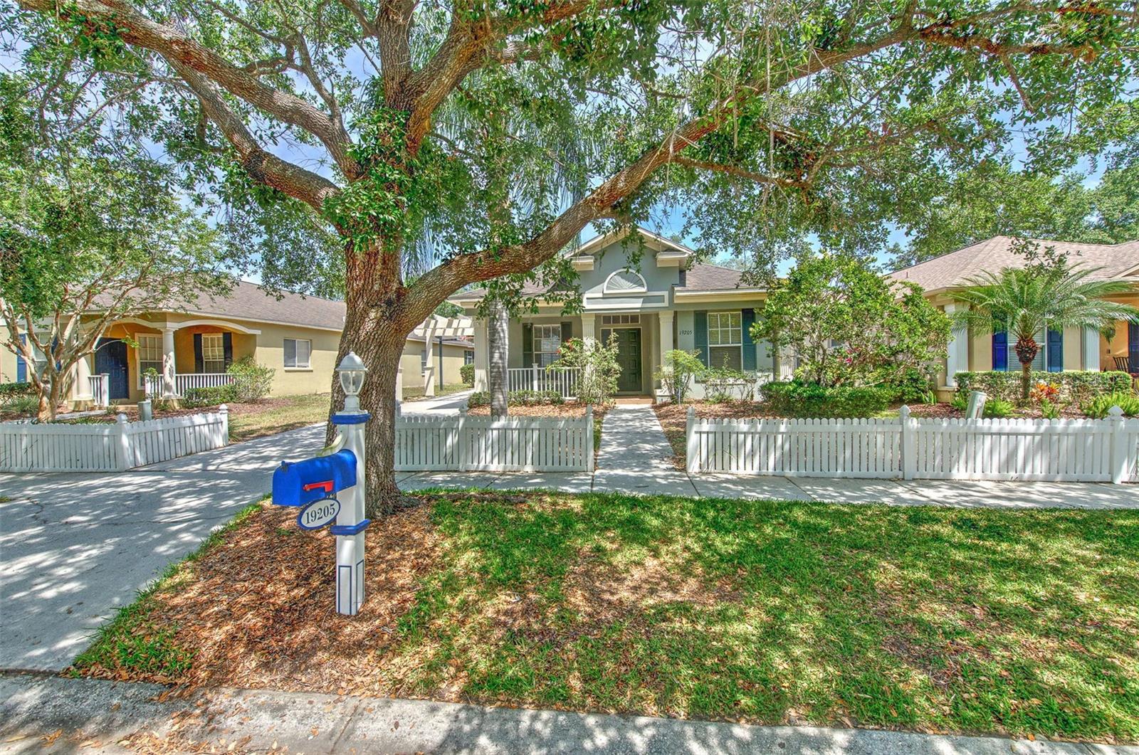 19205 SEA MIST LN, LUTZ, FL, 33558