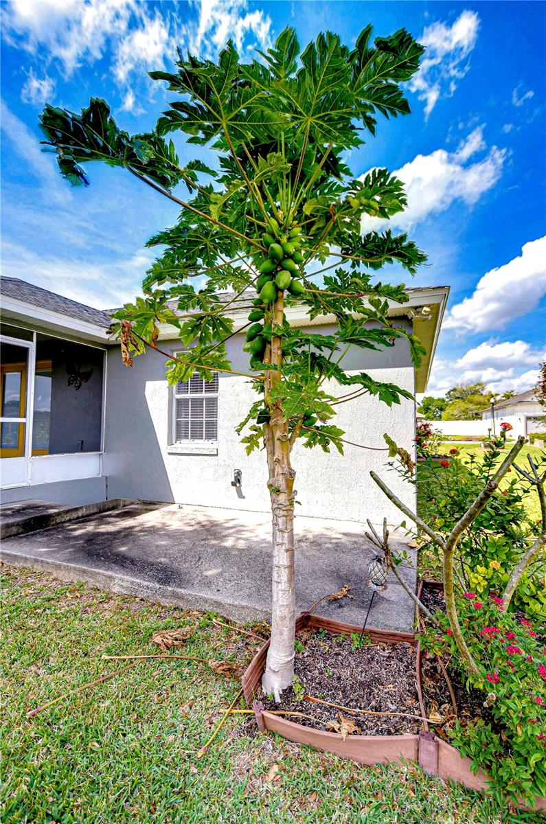 3518 REMINGTON OAKS WAY, LAKELAND, FL, 33810