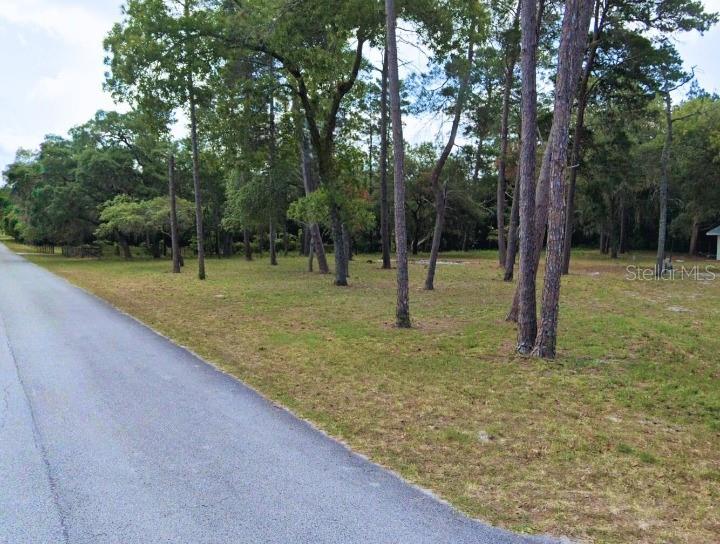0 DUANE CT, SHADY HILLS, FL, 34610