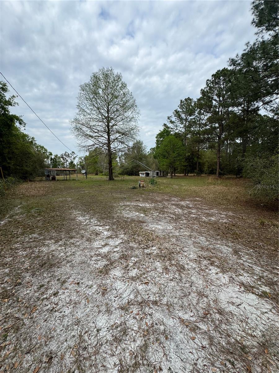 7743 NE 199TH STREET RD, CITRA, FL, 32113