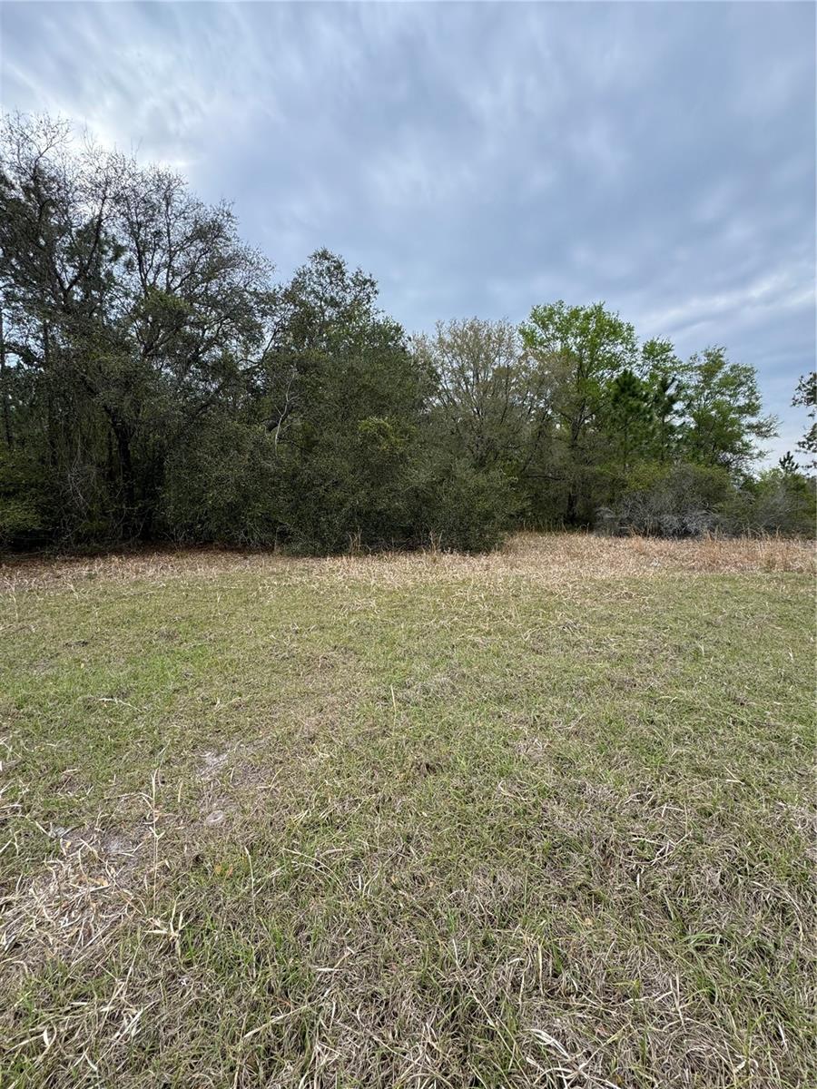 7743 NE 199TH STREET RD, CITRA, FL, 32113