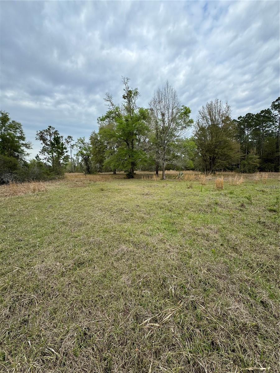 7743 NE 199TH STREET RD, CITRA, FL, 32113
