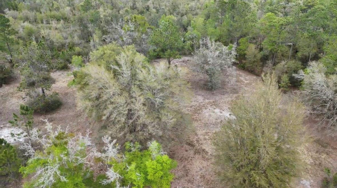 7743 NE 199TH STREET RD, CITRA, FL, 32113