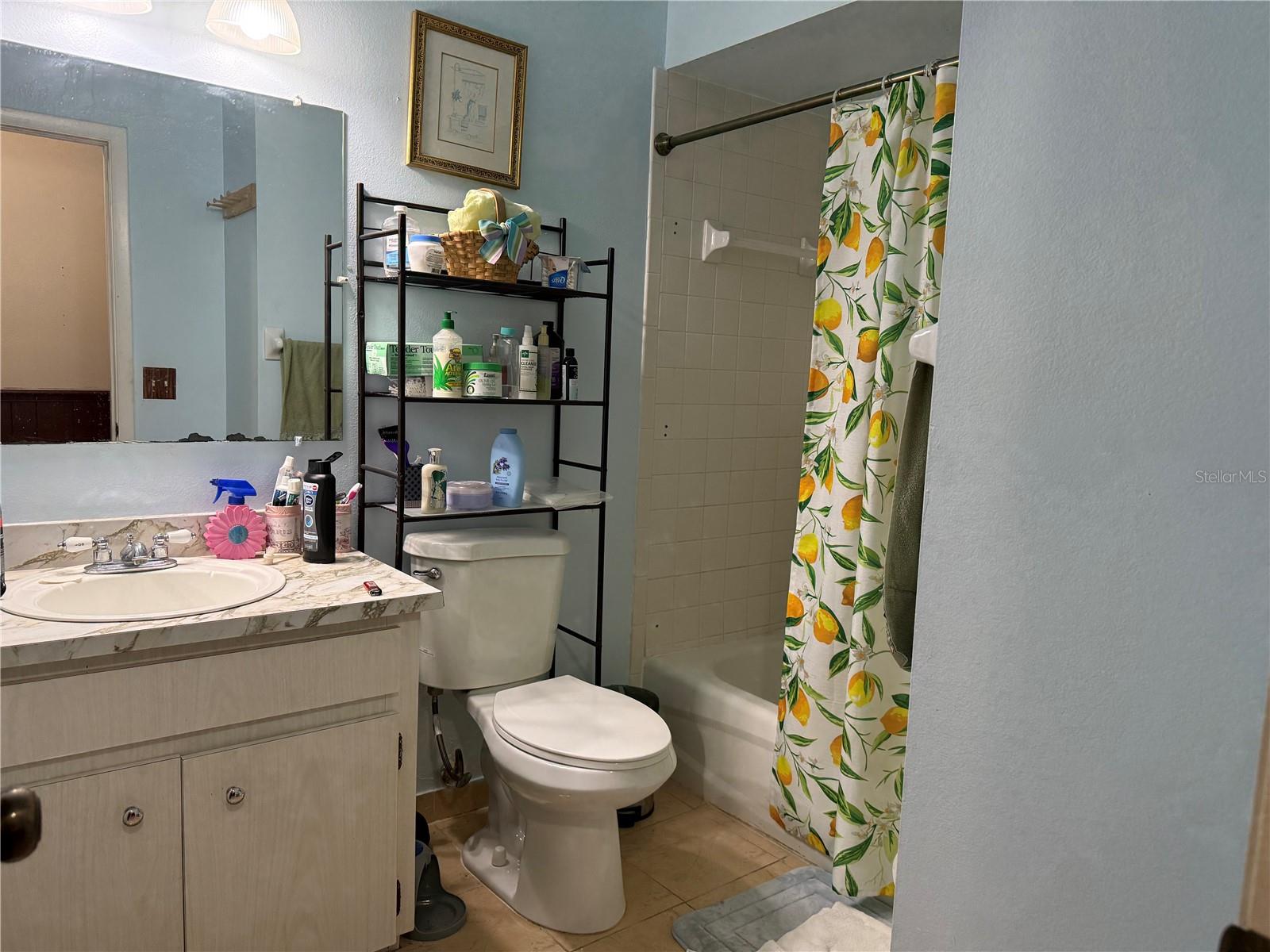 231 CONNIE LEE CT, LAKELAND, FL, 33809