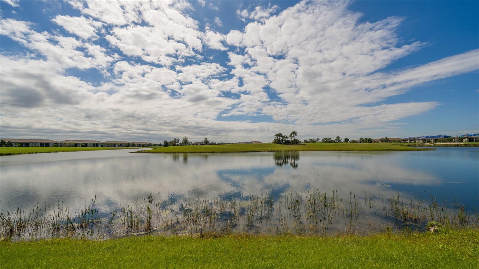 5624 PALMER CIR #203, BRADENTON, FL, 34211