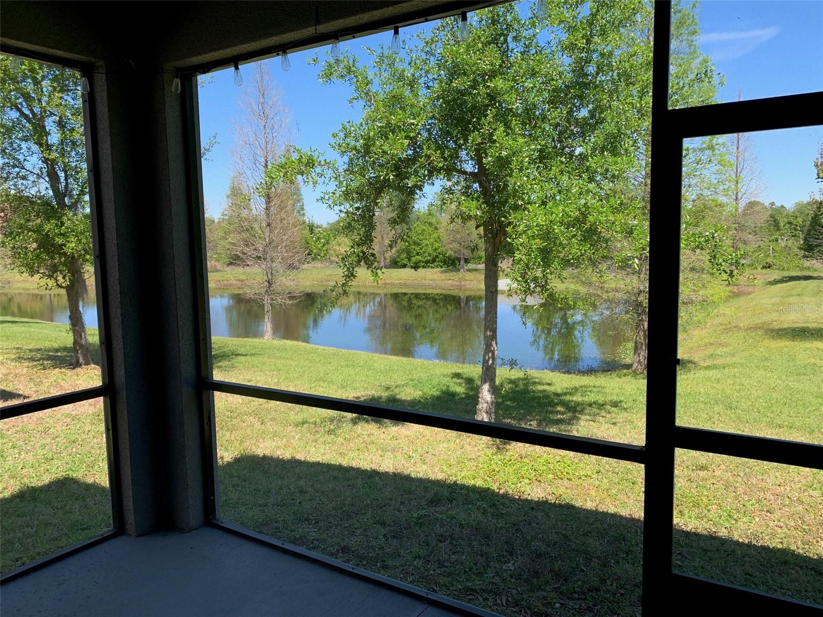 10668 LAKE MONTAUK DR, RIVERVIEW, FL, 33578