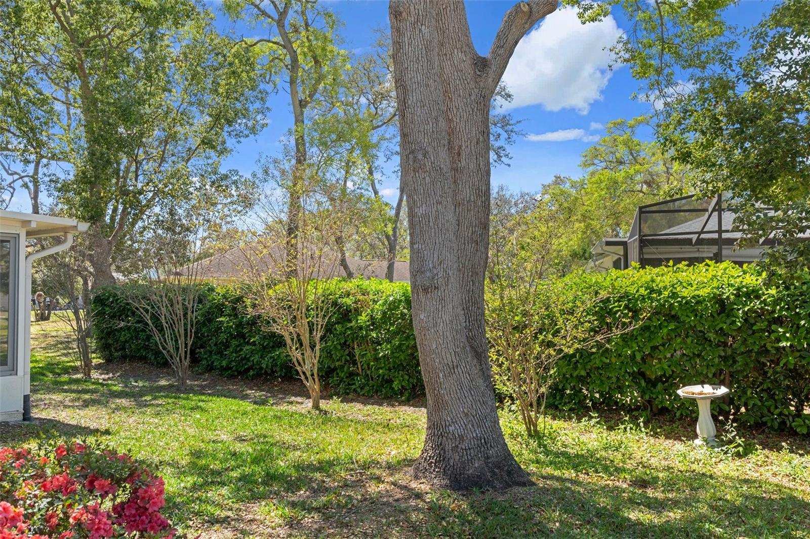 6530 PINE MEADOWS DR, SPRING HILL, FL, 34606