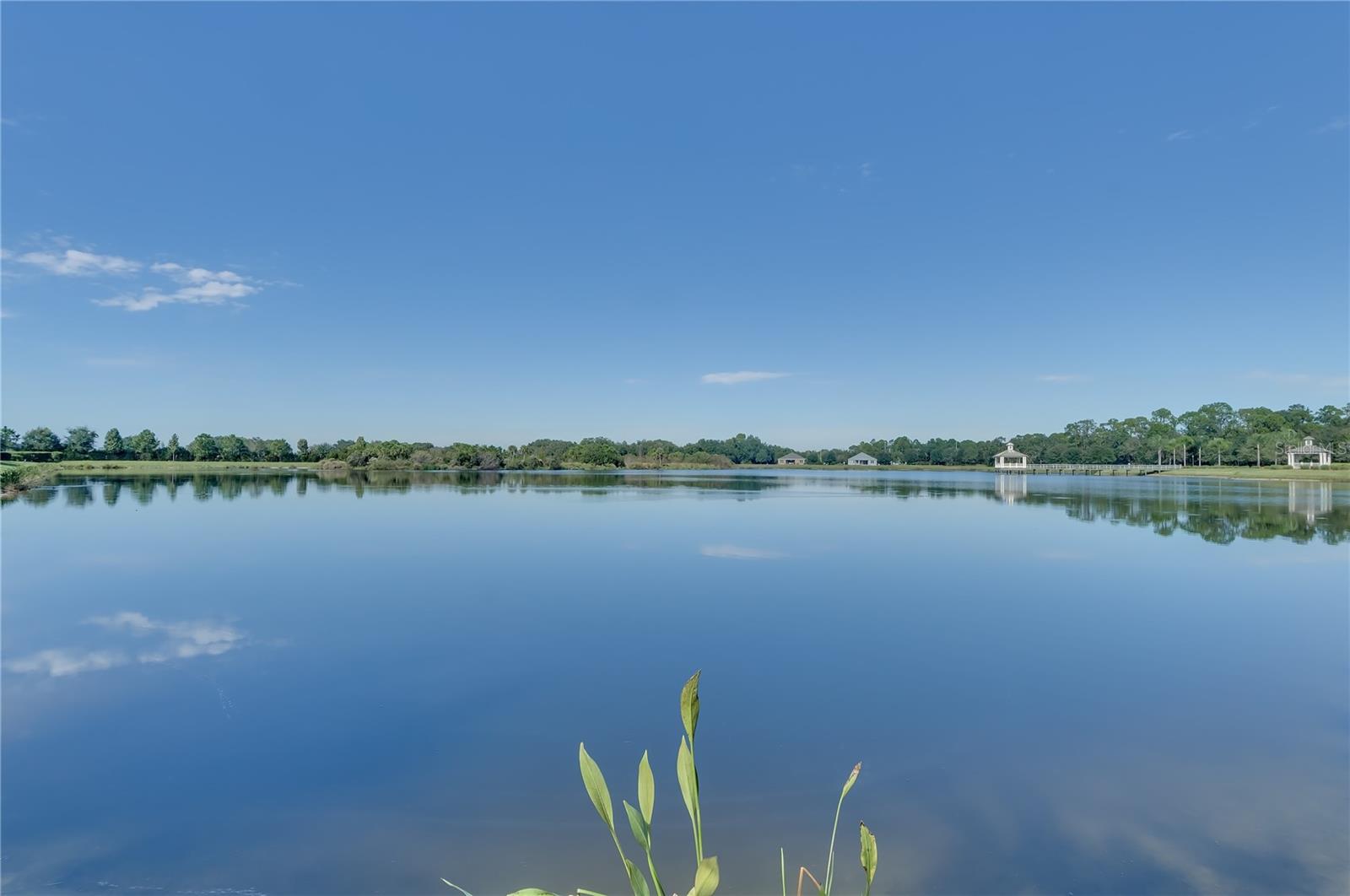 11836 CRAWFORD PARRISH LN, PARRISH, FL, 34219