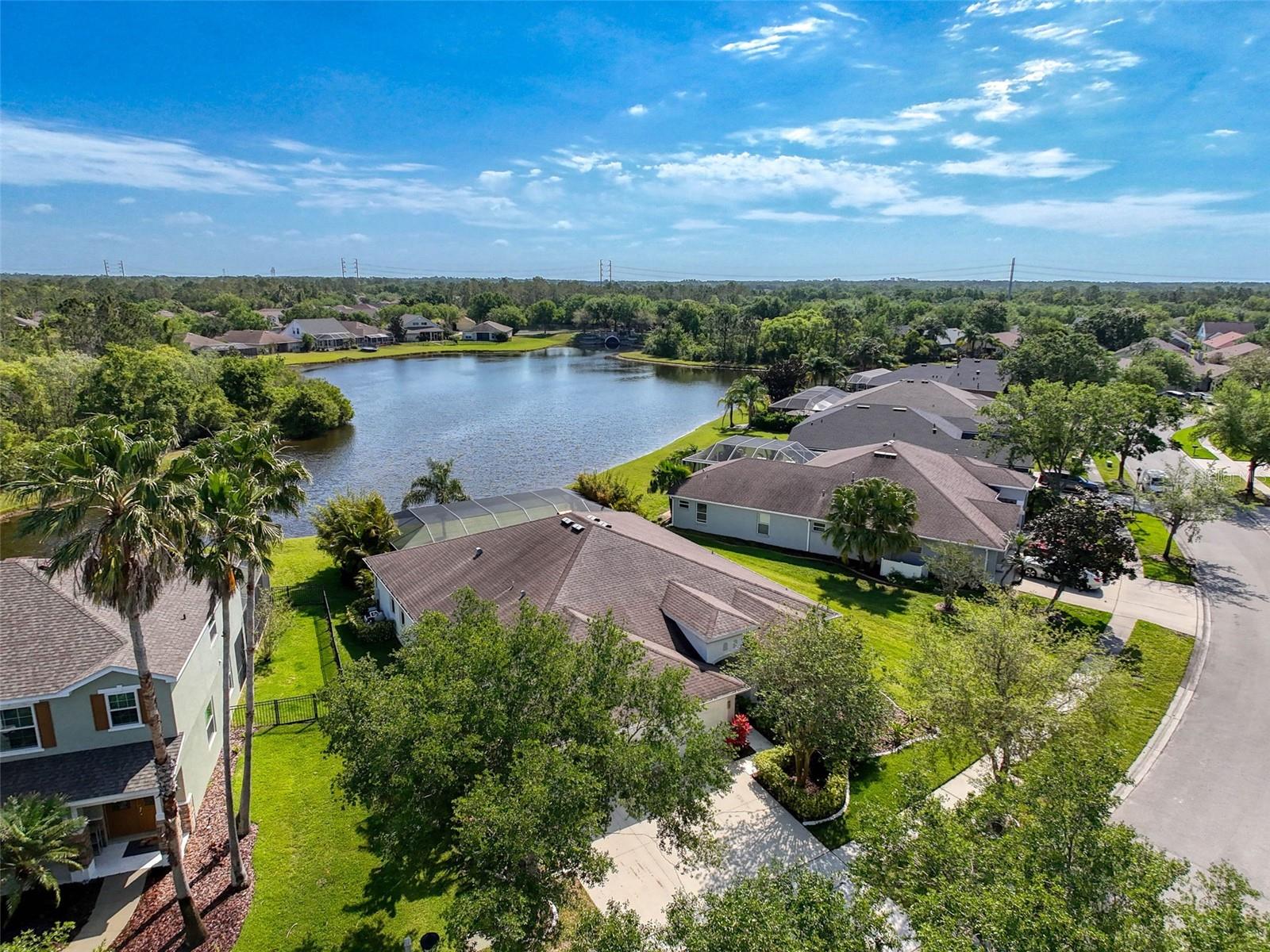 6208 BRIDGEVISTA DR, LITHIA, FL, 33547