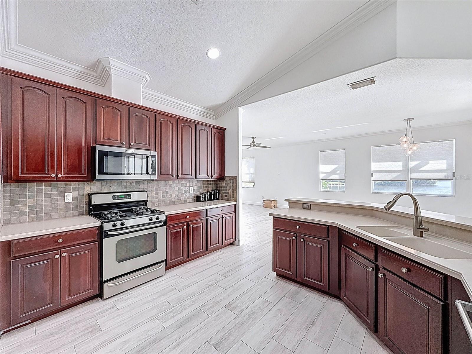 6208 BRIDGEVISTA DR, LITHIA, FL, 33547