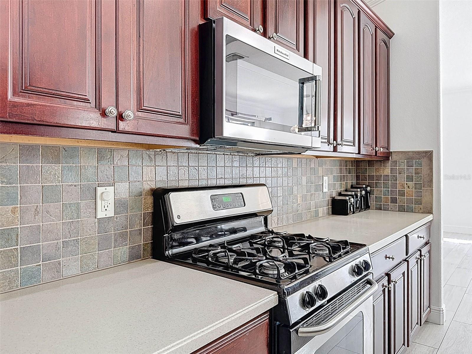 6208 BRIDGEVISTA DR, LITHIA, FL, 33547