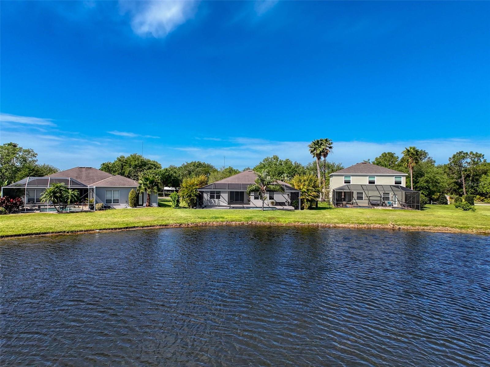 6208 BRIDGEVISTA DR, LITHIA, FL, 33547