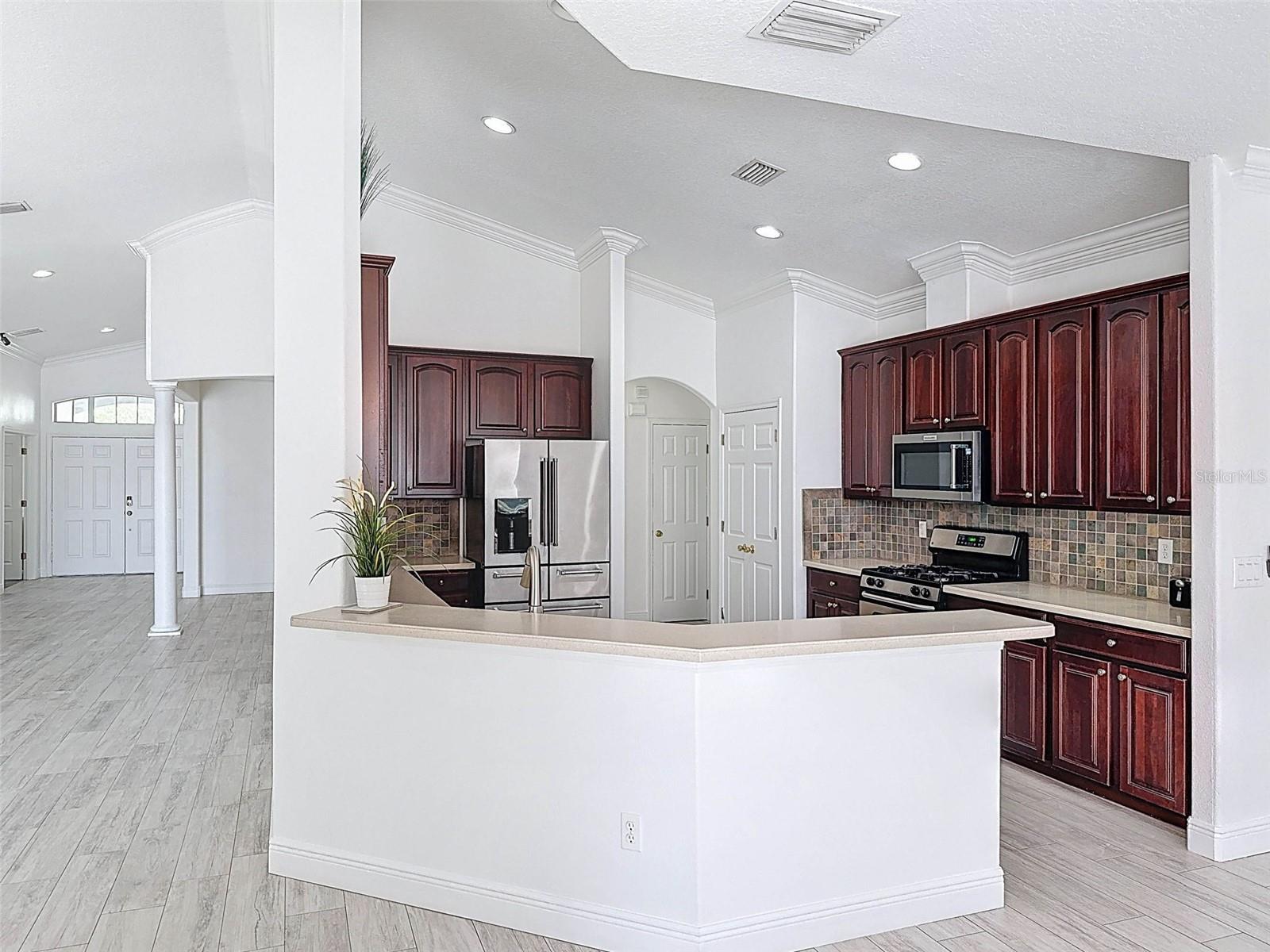 6208 BRIDGEVISTA DR, LITHIA, FL, 33547