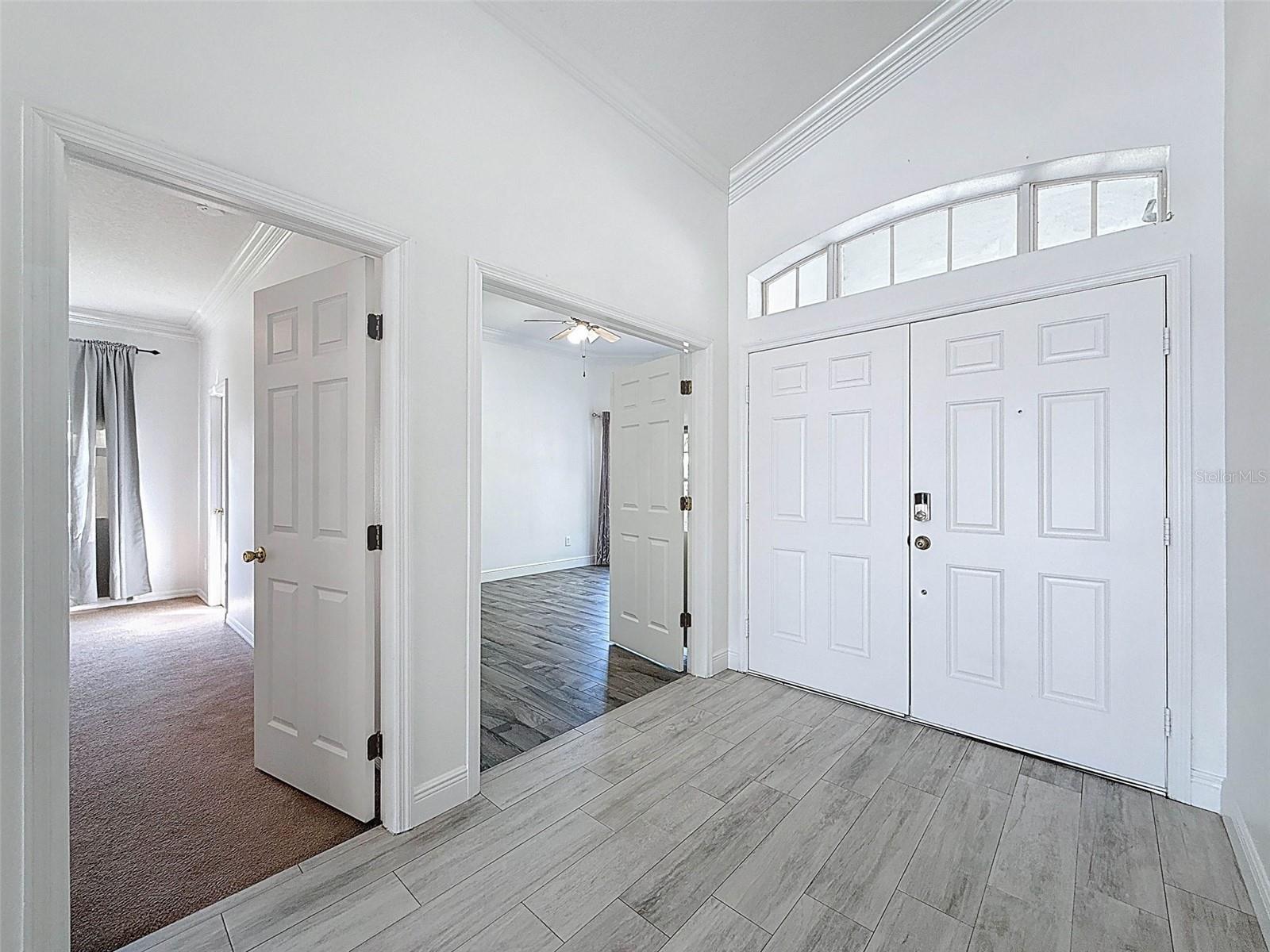 6208 BRIDGEVISTA DR, LITHIA, FL, 33547