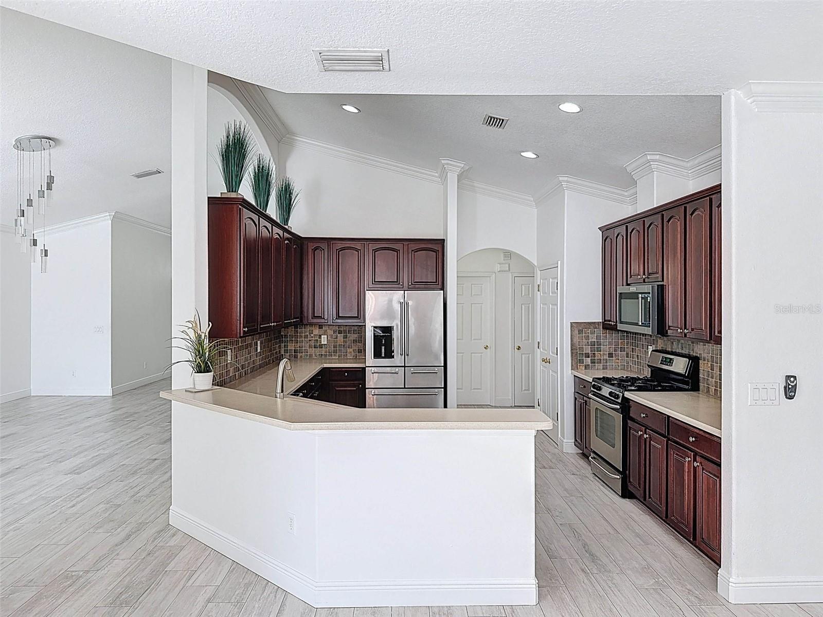 6208 BRIDGEVISTA DR, LITHIA, FL, 33547