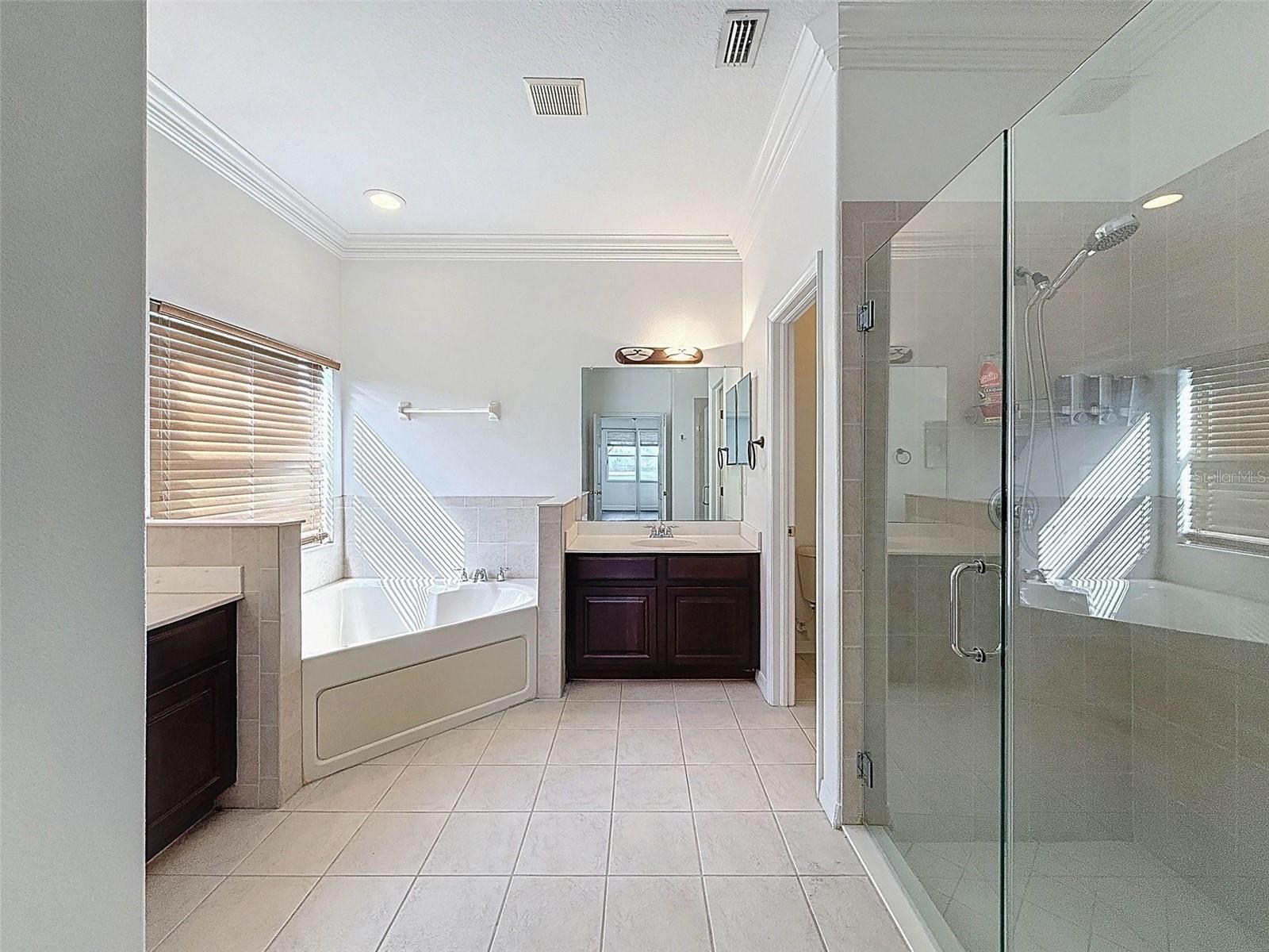 6208 BRIDGEVISTA DR, LITHIA, FL, 33547