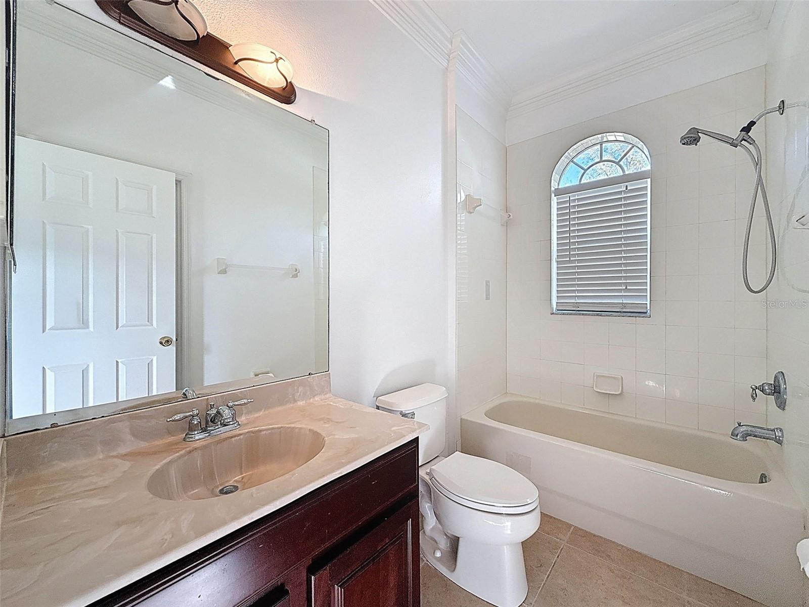 6208 BRIDGEVISTA DR, LITHIA, FL, 33547