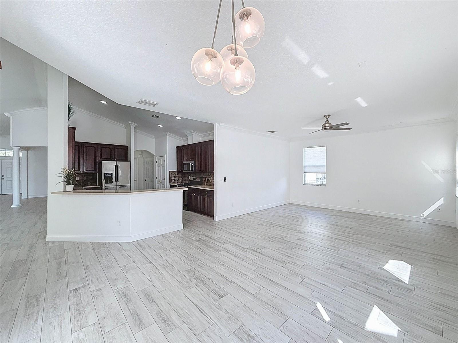 6208 BRIDGEVISTA DR, LITHIA, FL, 33547
