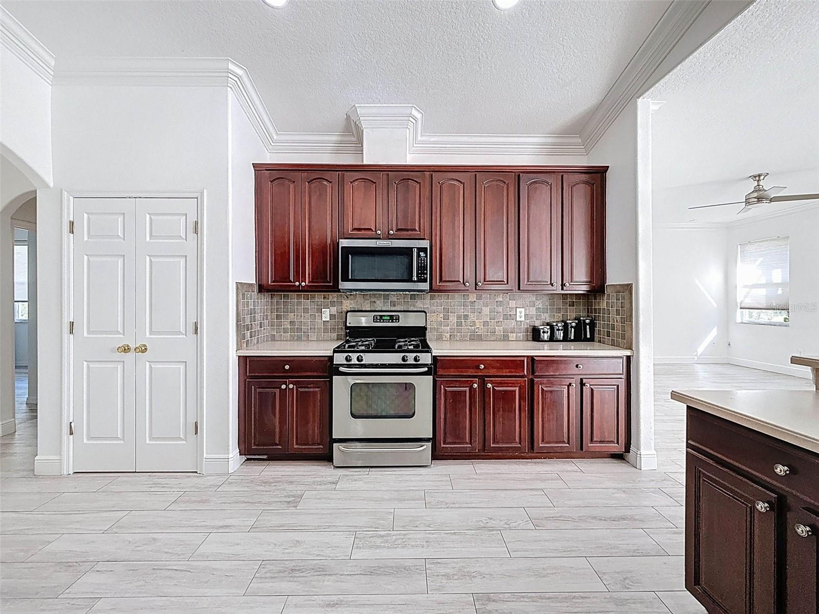 6208 BRIDGEVISTA DR, LITHIA, FL, 33547
