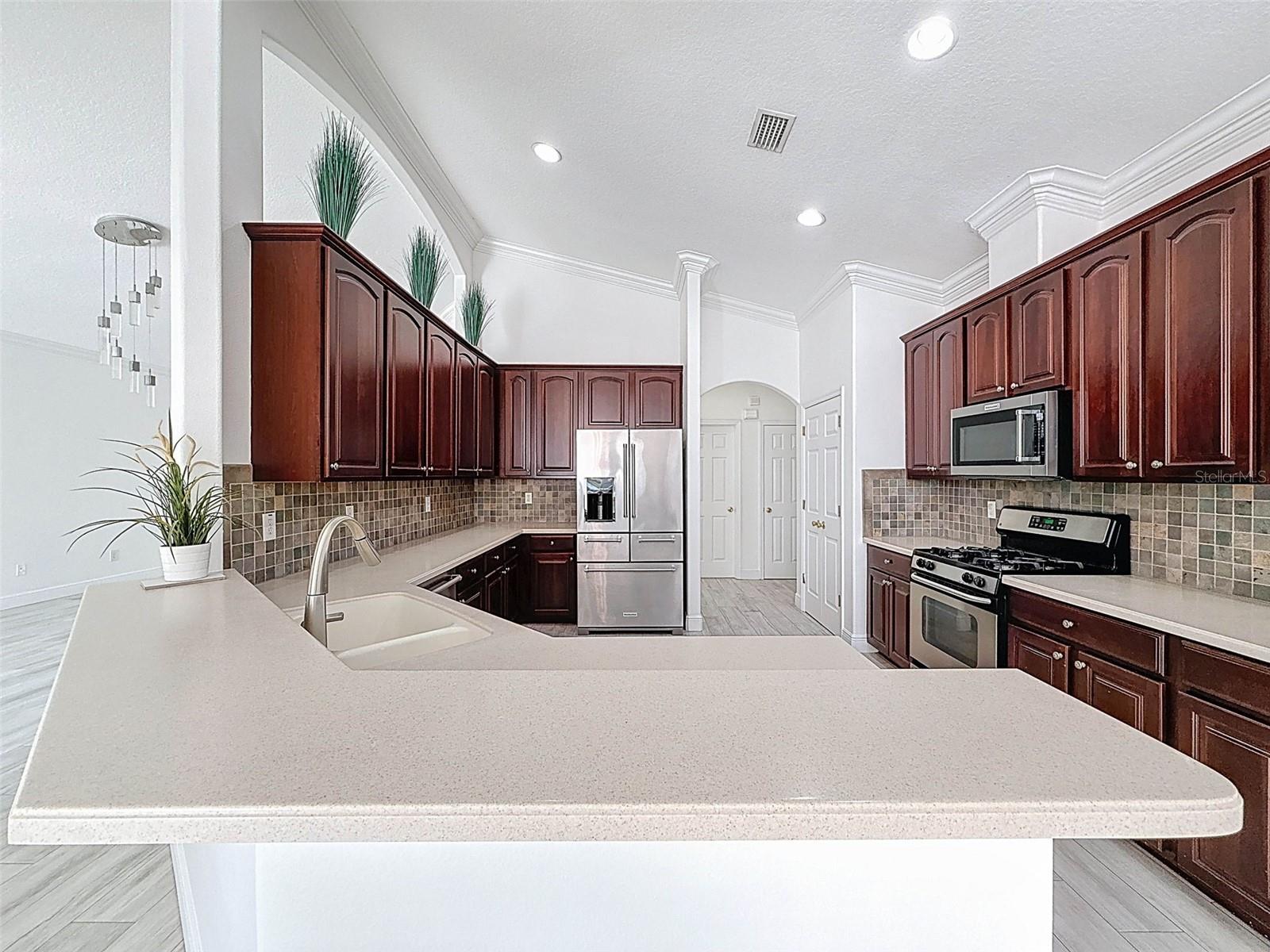 6208 BRIDGEVISTA DR, LITHIA, FL, 33547