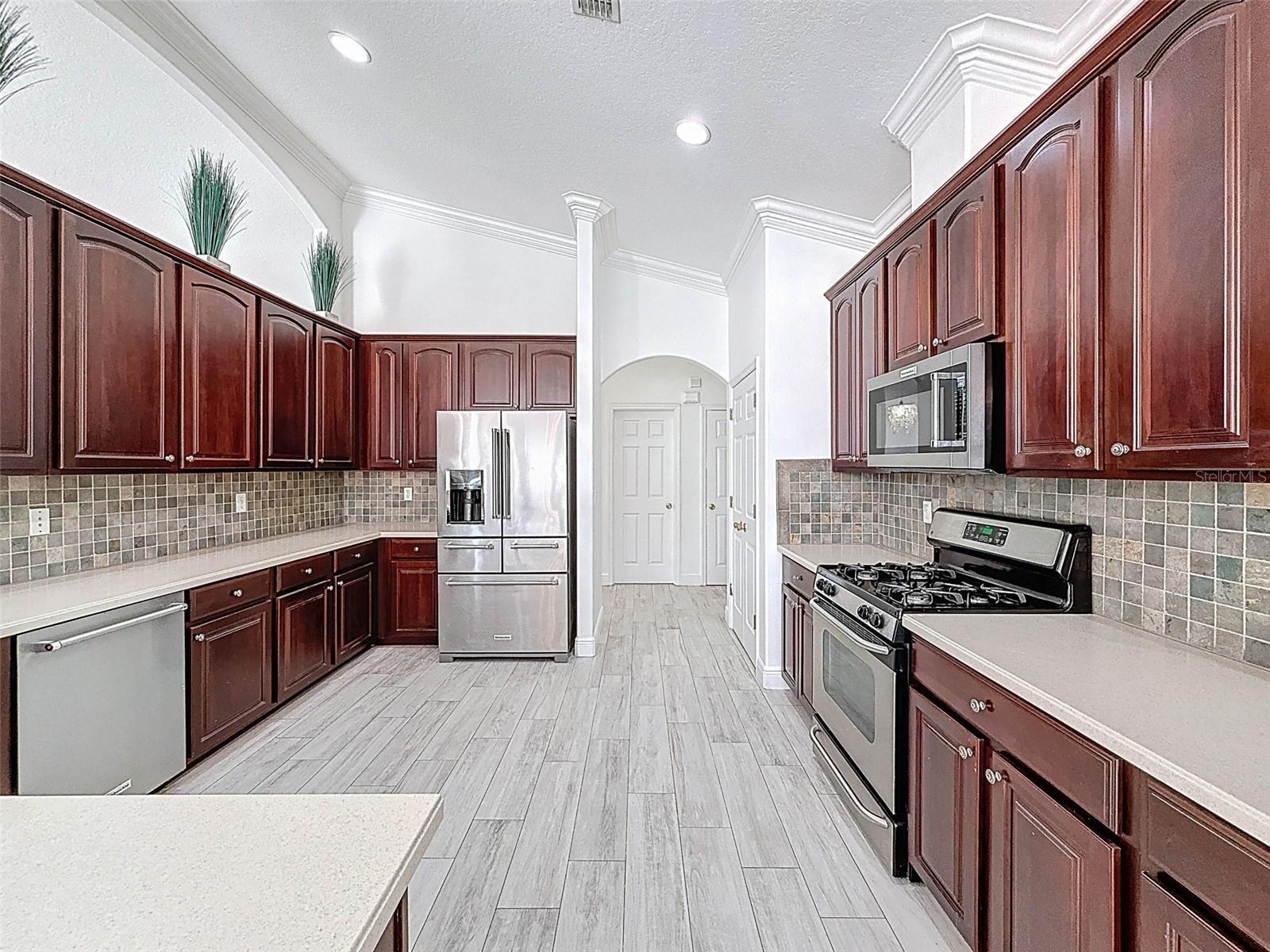 6208 BRIDGEVISTA DR, LITHIA, FL, 33547